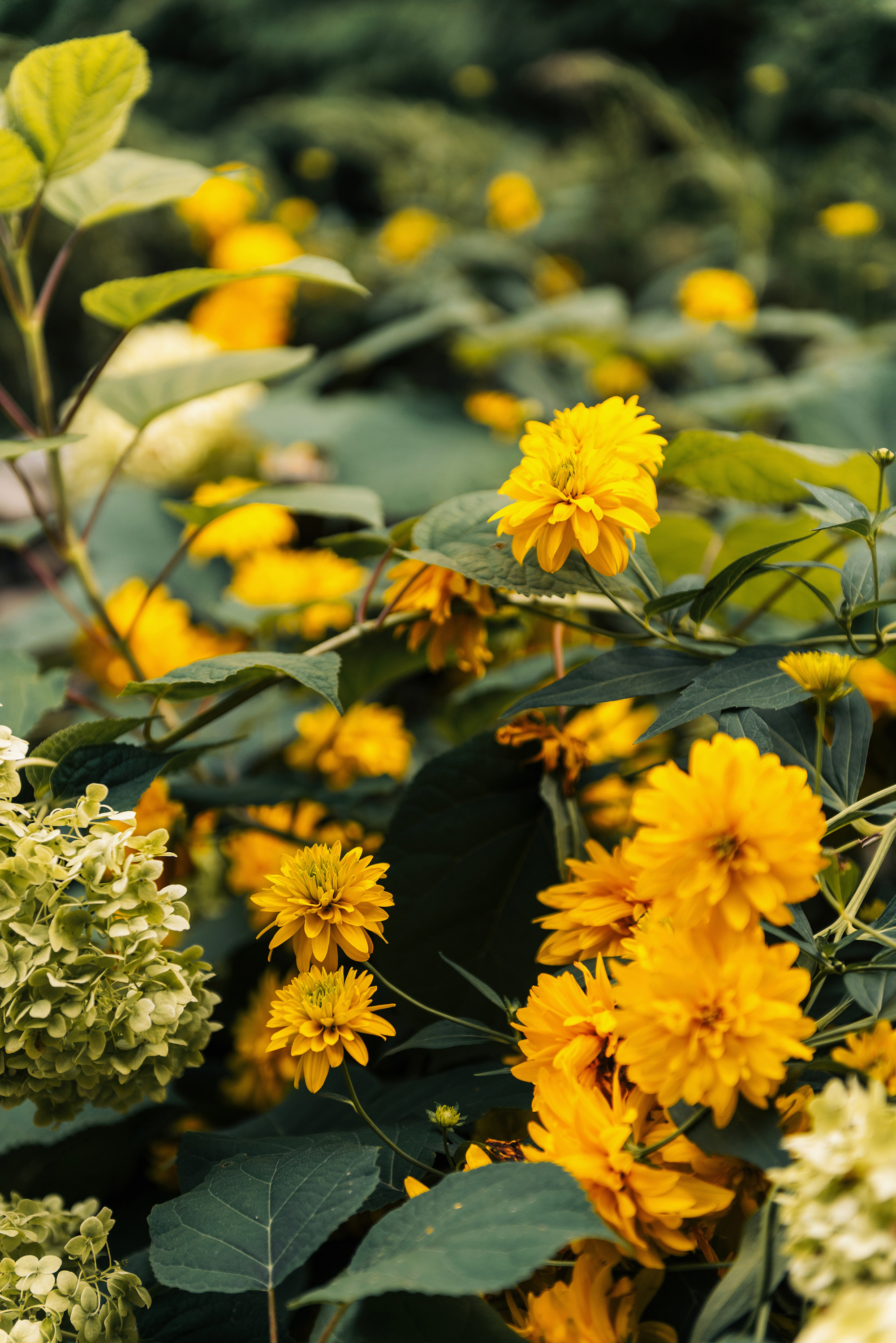 Давид и Лида. Свадебный и семейный фотограф в Стерлитамаке, Салавате. Илья Антохин