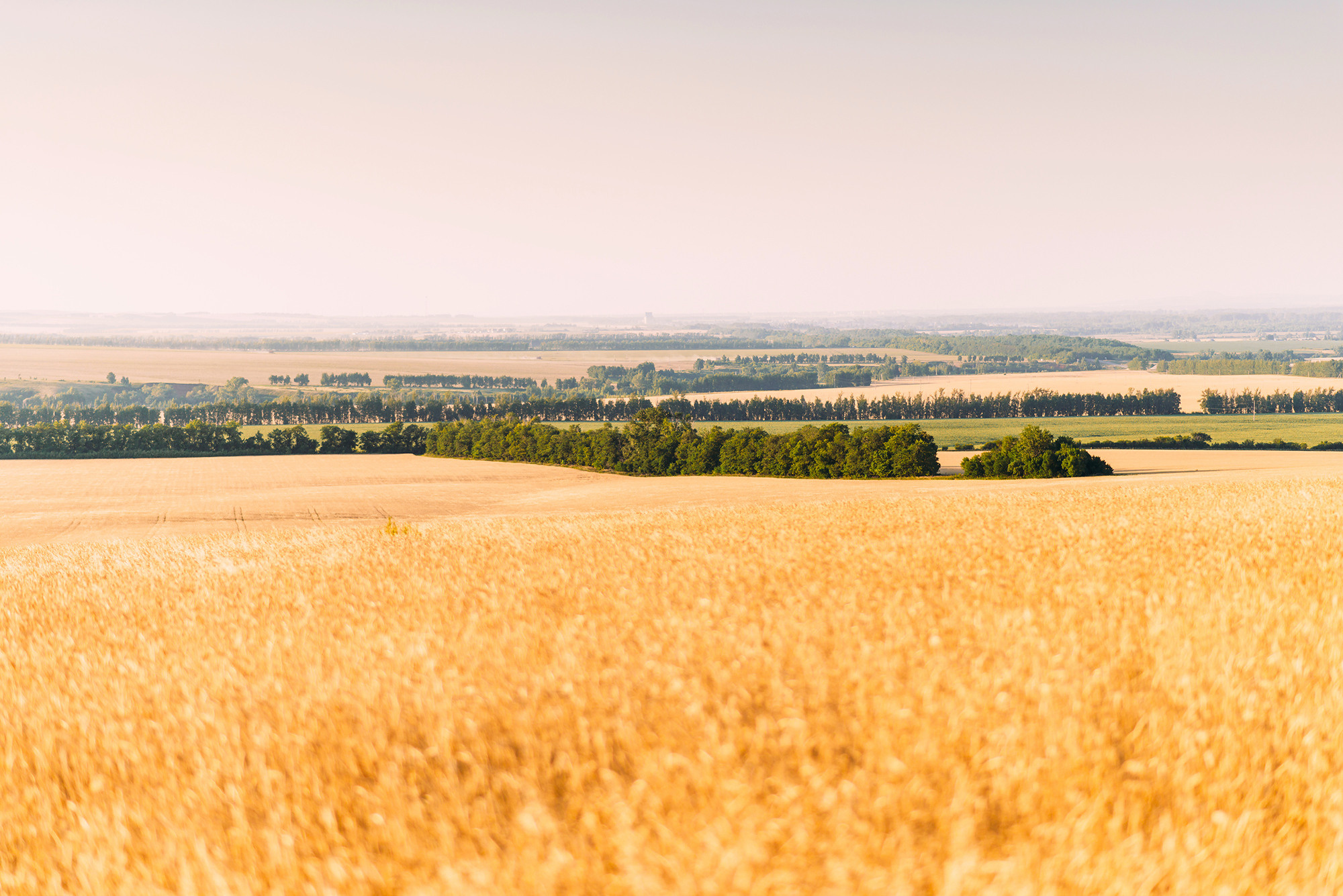 12 км к северо-западу от села Зирган. Свадебный и семейный фотограф в Стерлитамаке, Салавате. Илья Антохин