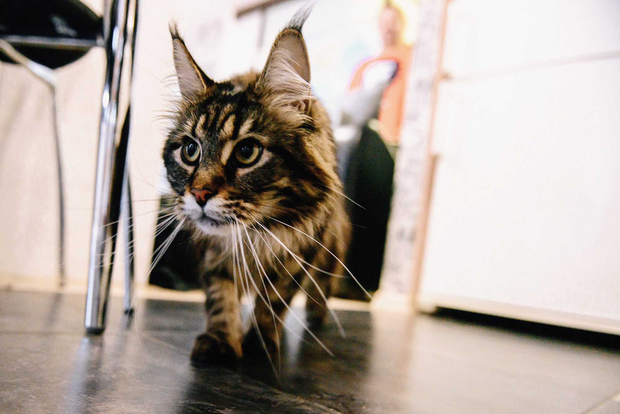 Илья и Ксения. Свадебный и семейный фотограф в Стерлитамаке, Салавате. Илья Антохин