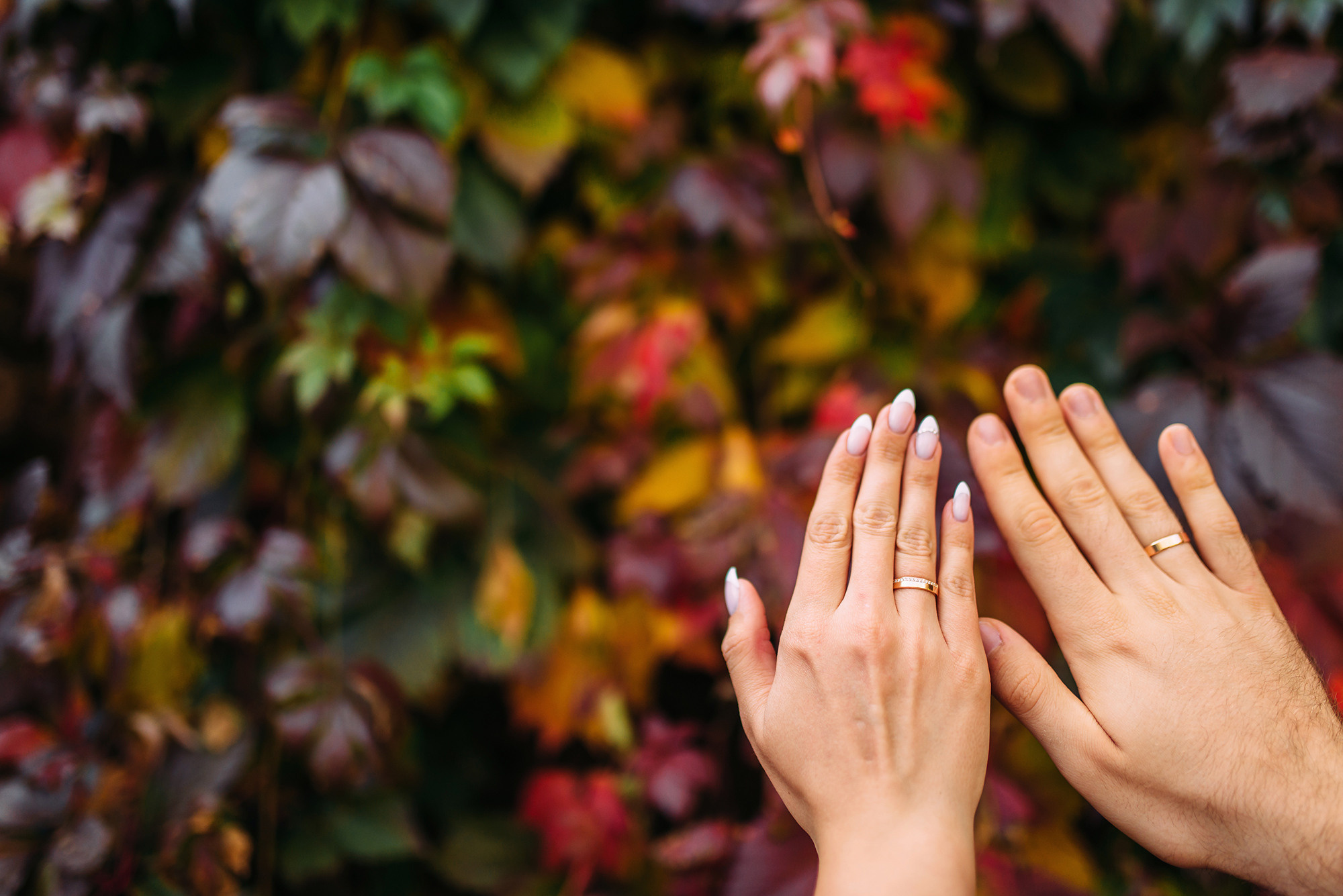 Константин и Екатерина. Свадебный и семейный фотограф в Стерлитамаке, Салавате. Илья Антохин