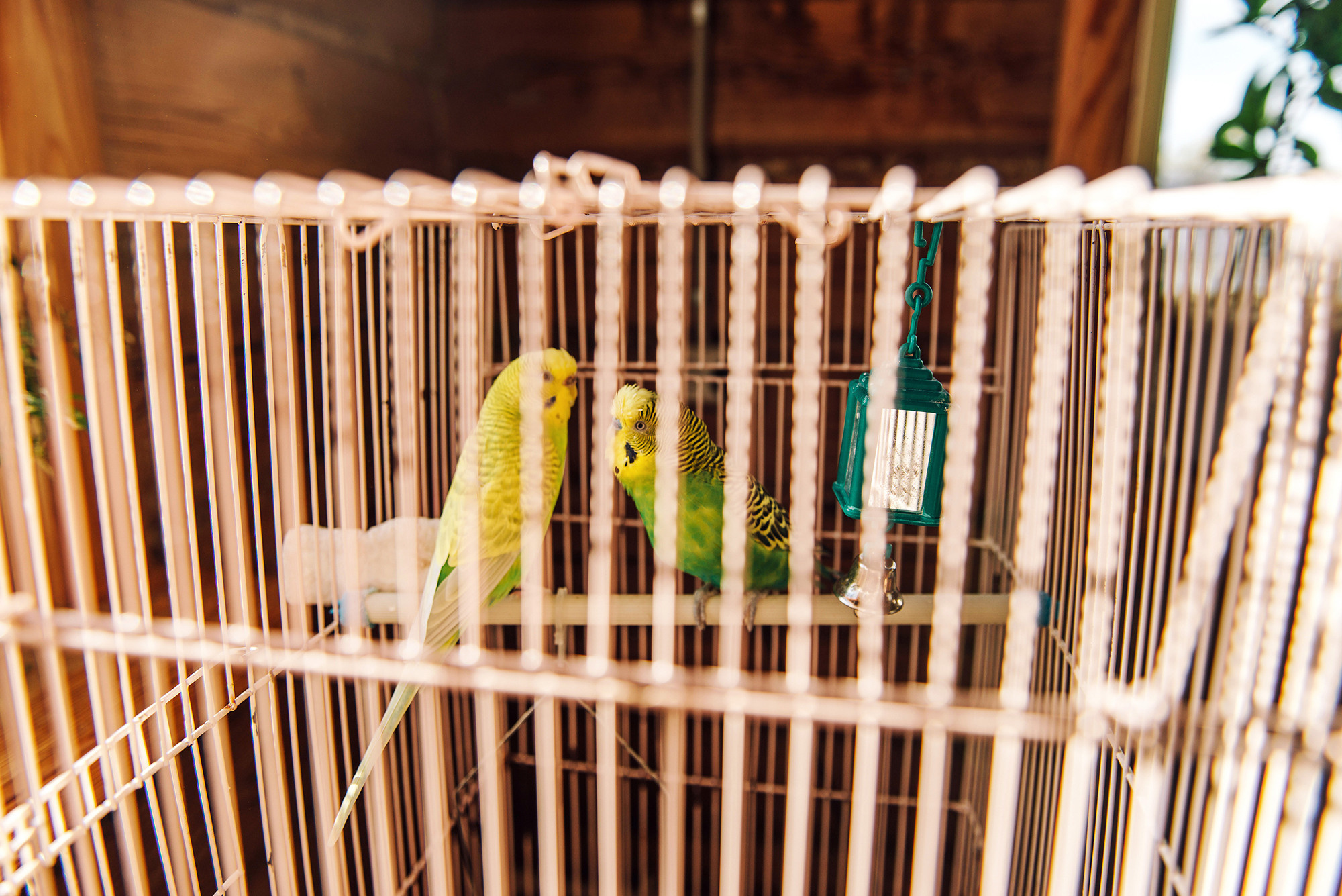 Александр и Юлия. Свадебный и семейный фотограф в Стерлитамаке, Салавате. Илья Антохин