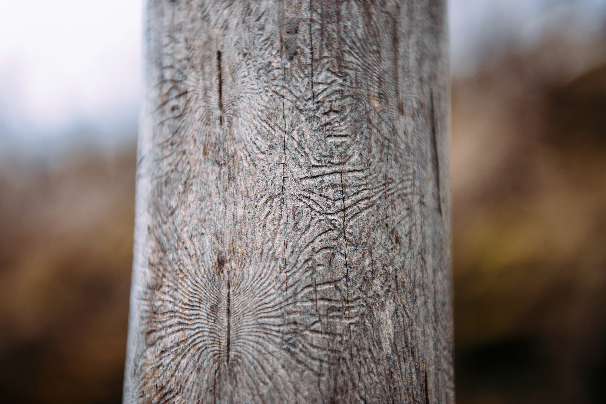 Юрий и Людмила. Свадебный и семейный фотограф в Стерлитамаке, Салавате. Илья Антохин