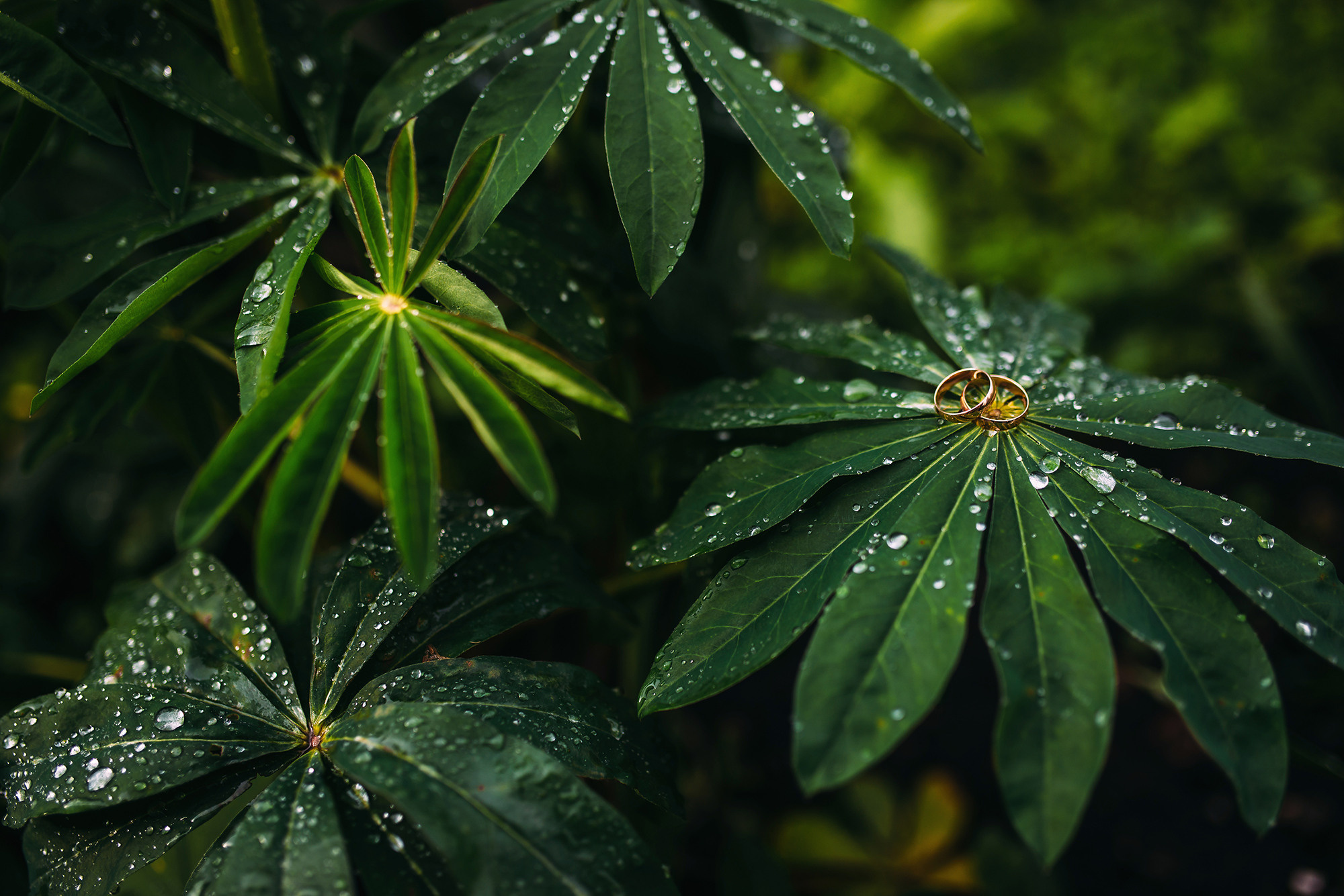 Иван и Виктория. Свадебный и семейный фотограф в Стерлитамаке, Салавате. Илья Антохин