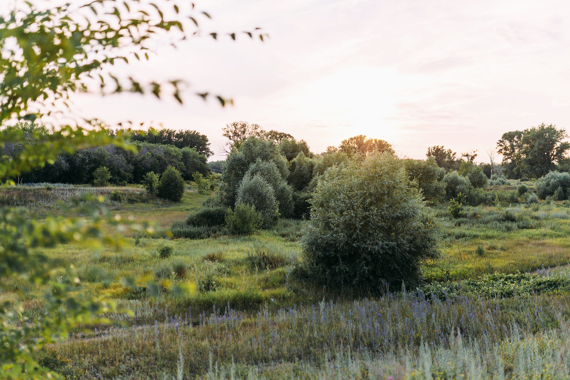 Семья Коротковых. Свадебный и семейный фотограф в Стерлитамаке, Салавате. Илья Антохин