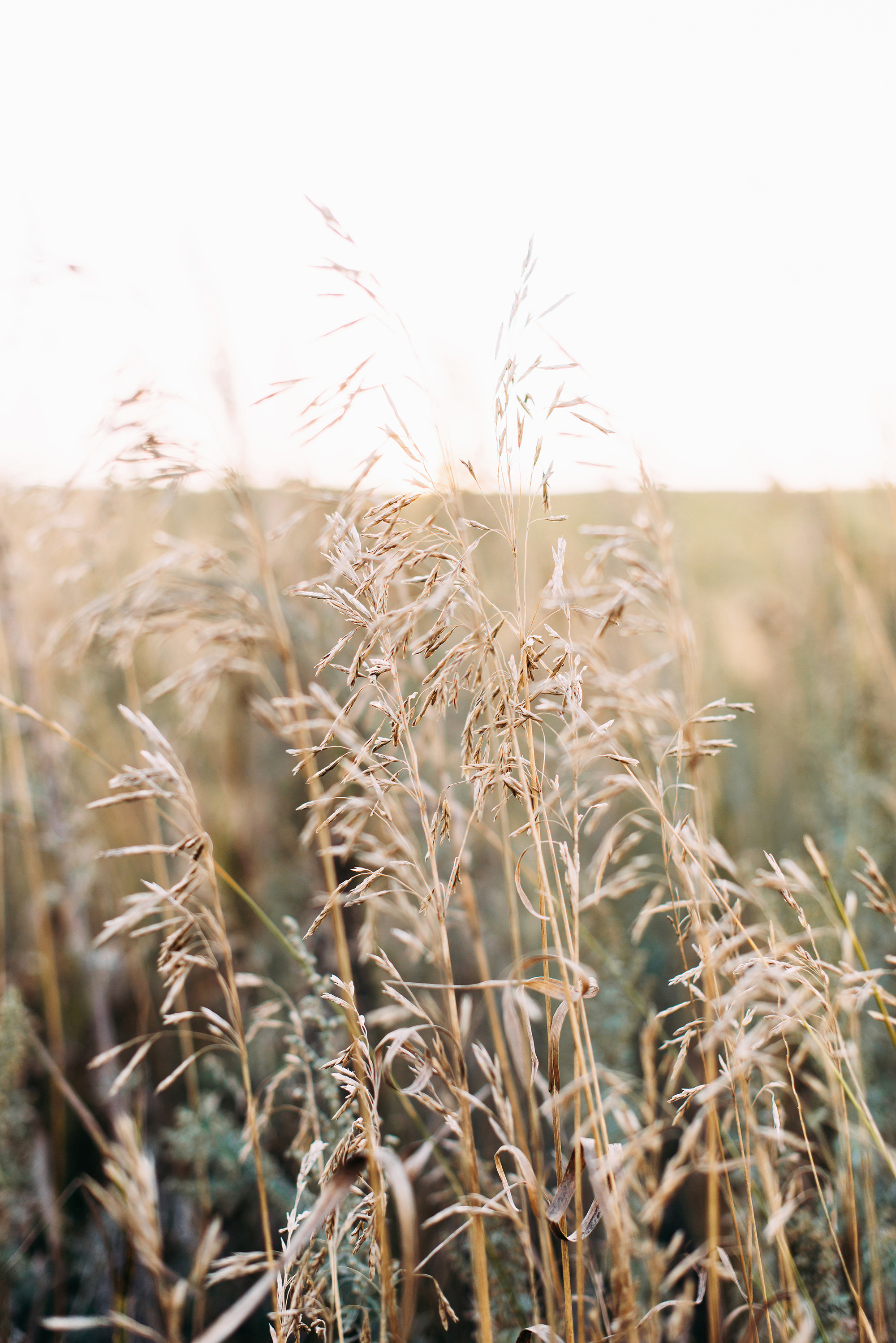 Закат, Корнеевка, Сухайла. Свадебный и семейный фотограф в Стерлитамаке, Салавате. Илья Антохин
