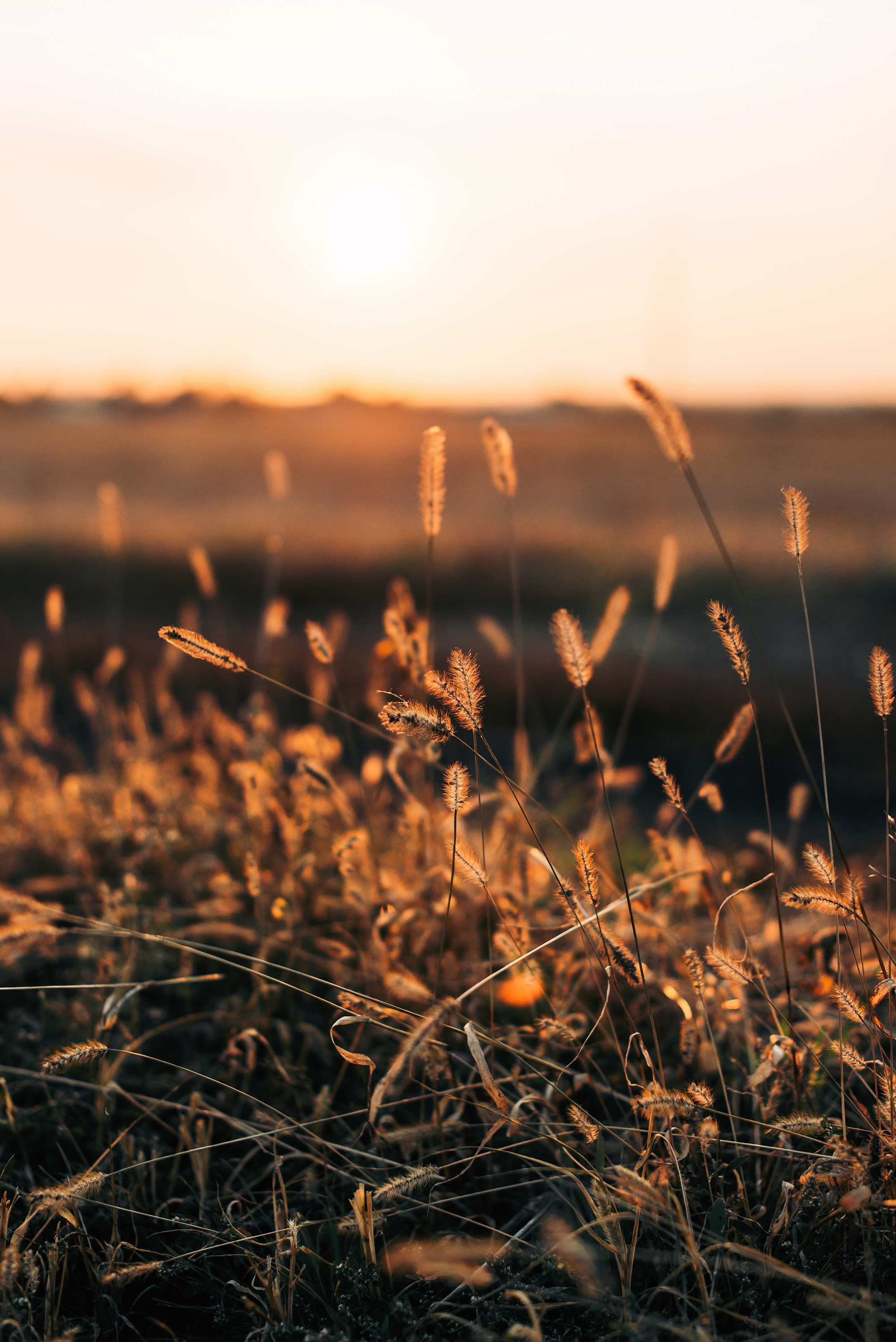 Торатау, осень, тыквы. Свадебный и семейный фотограф в Стерлитамаке, Салавате. Илья Антохин