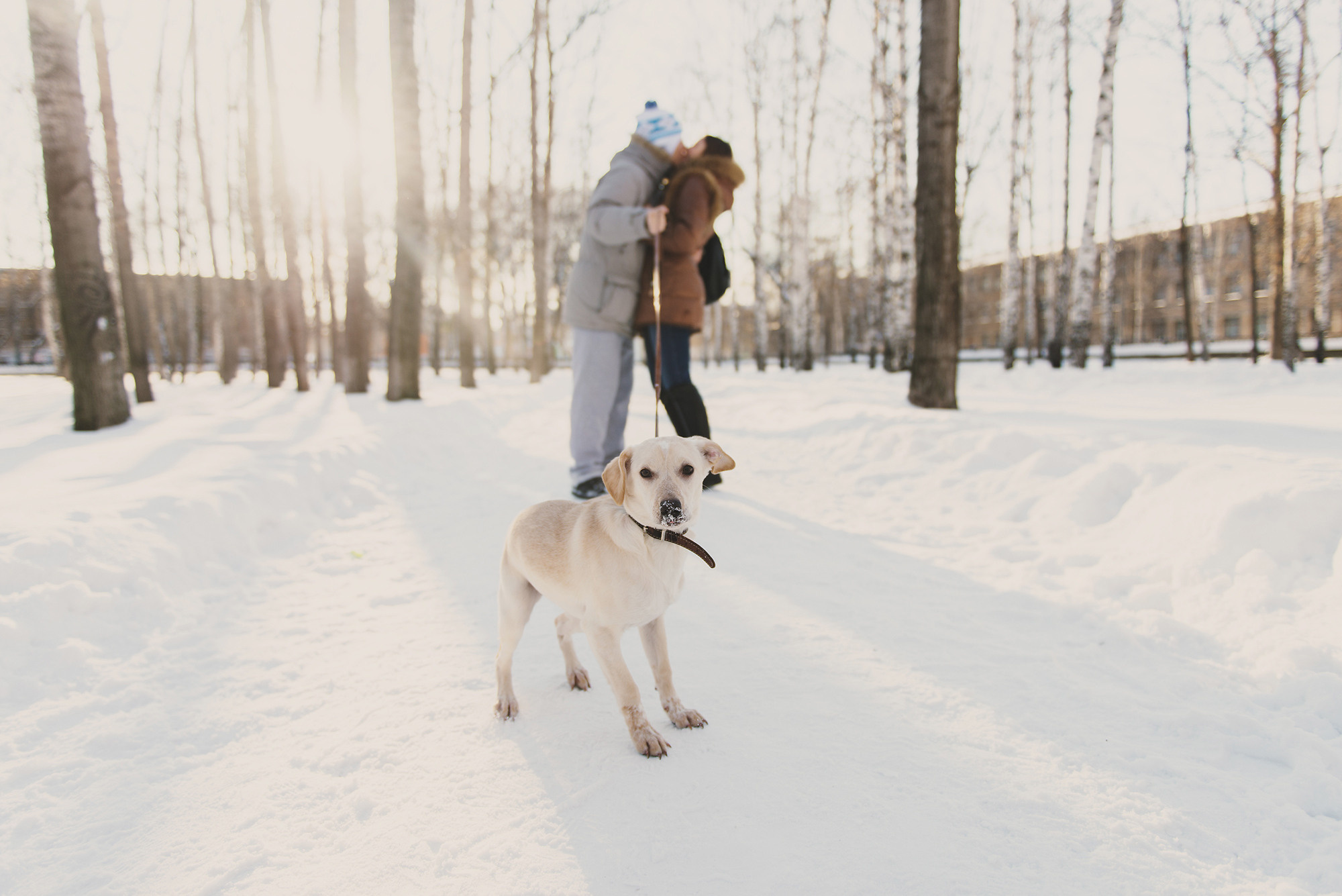 Саша, Карина и Тесси. Свадебный и семейный фотограф в Стерлитамаке, Салавате. Илья Антохин