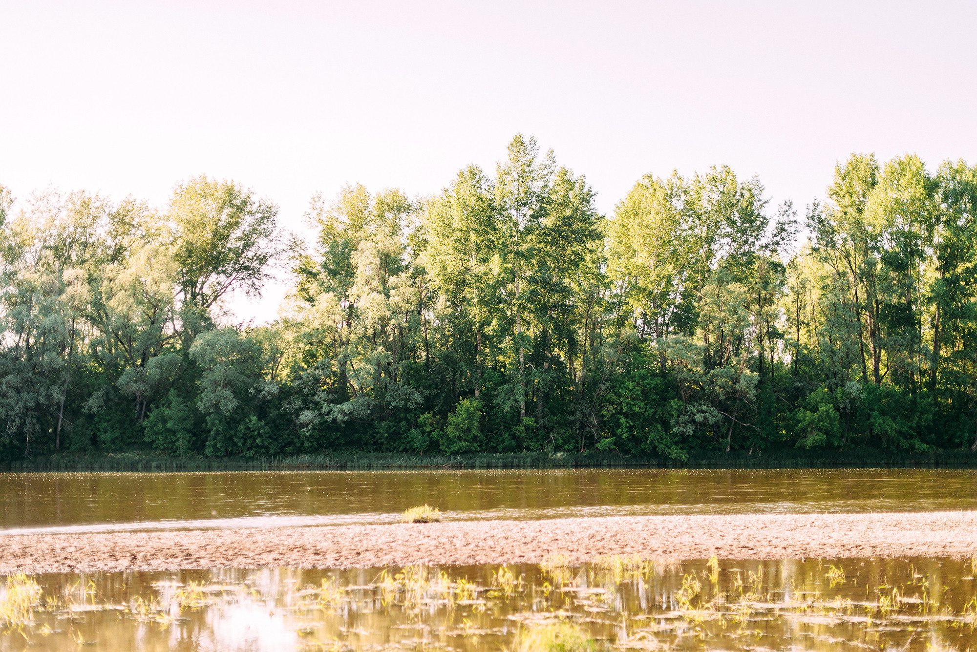 Виктор и Алёна. Свадебный и семейный фотограф в Стерлитамаке, Салавате. Илья Антохин