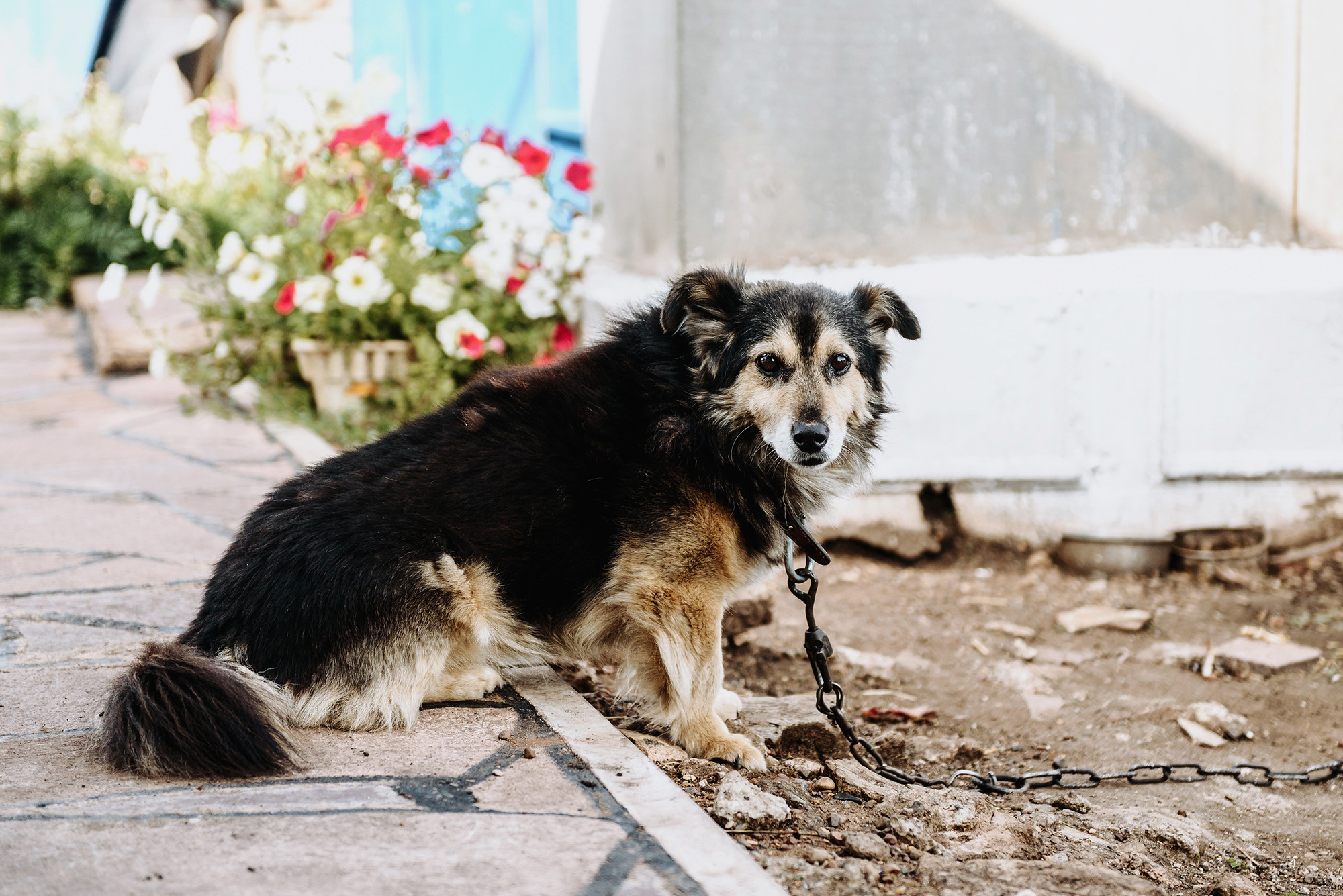 Мурат и Лейсан. Свадебный и семейный фотограф в Стерлитамаке, Салавате. Илья Антохин