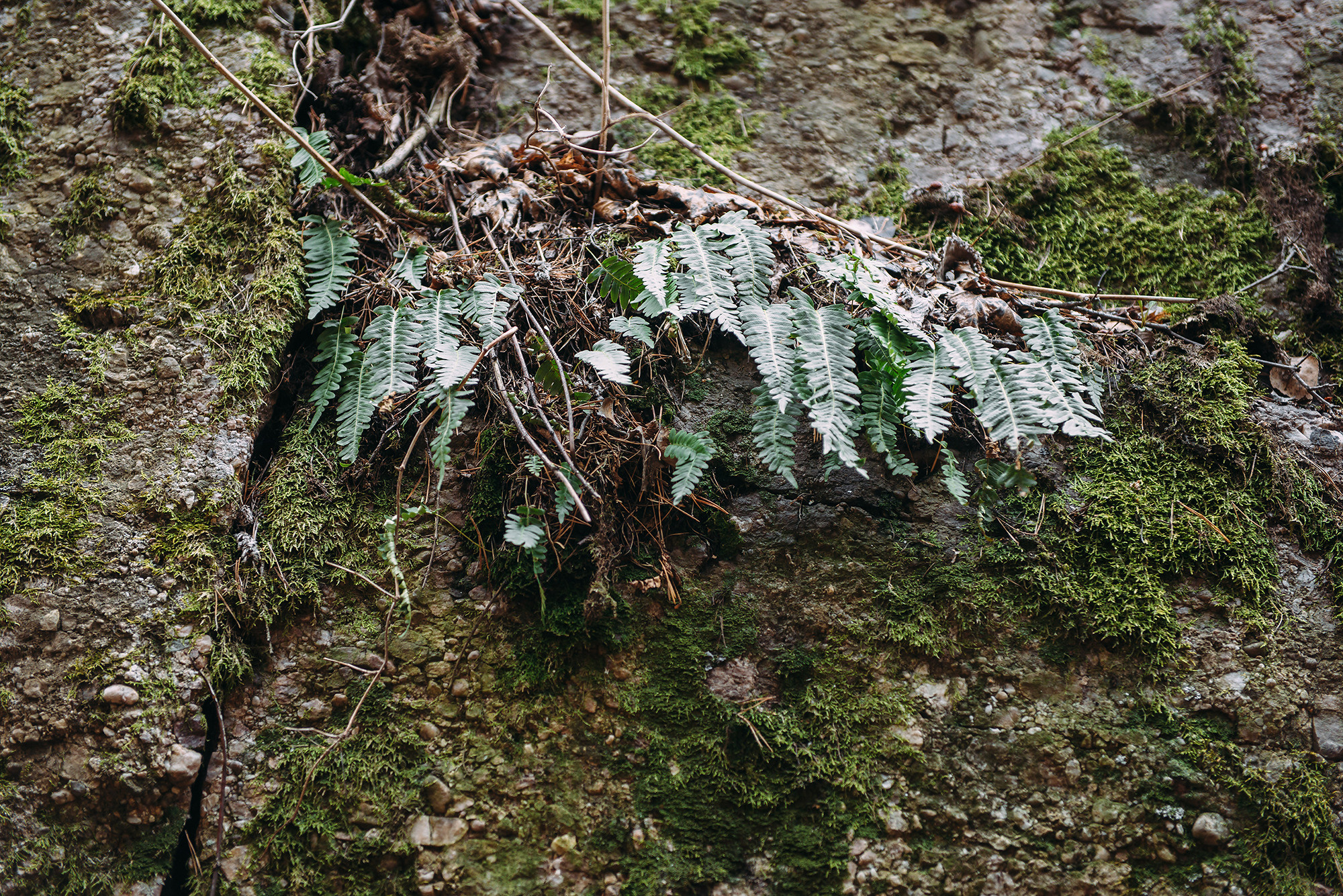 Юрий и Людмила. Свадебный и семейный фотограф в Стерлитамаке, Салавате. Илья Антохин