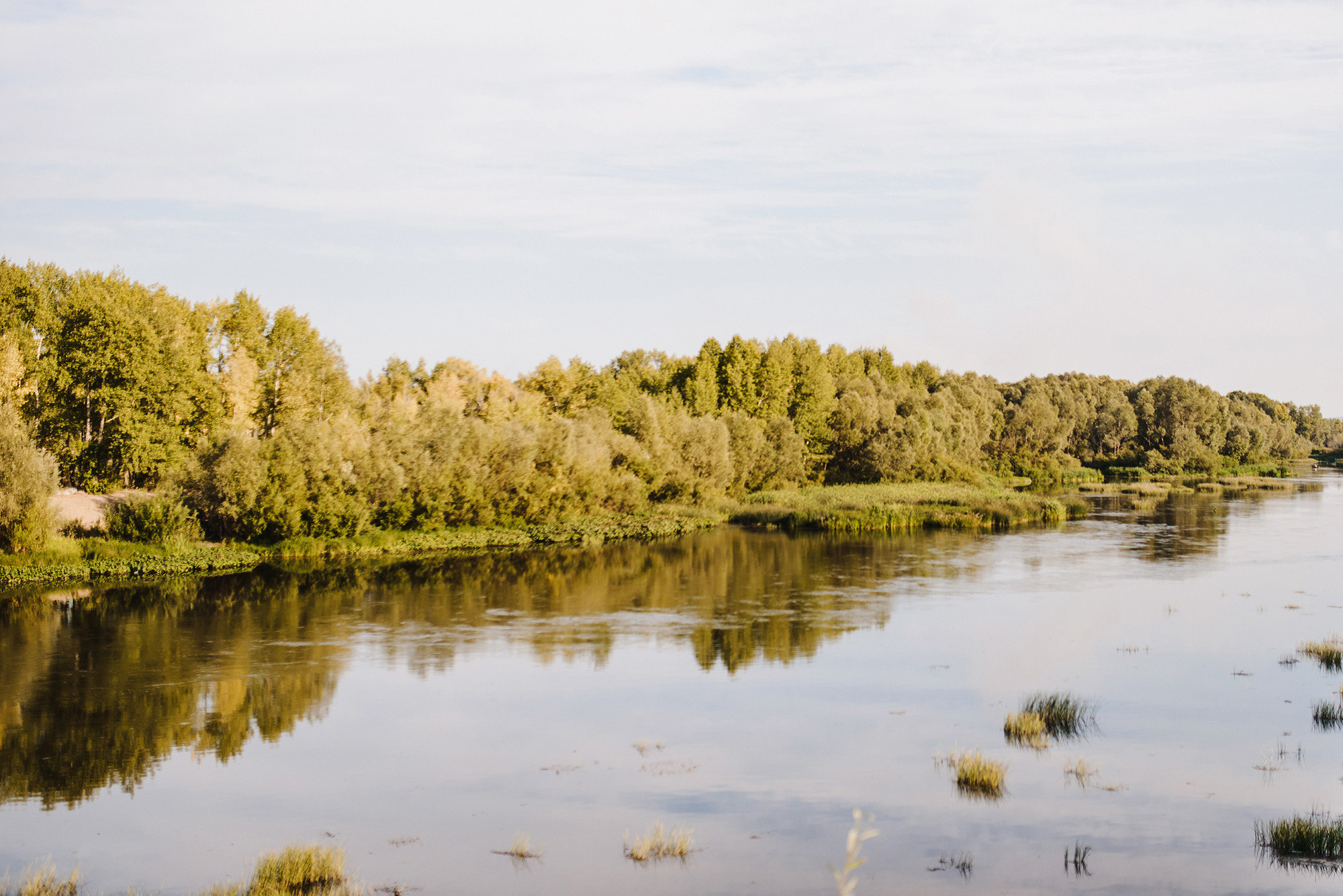 Бумажный кораблик и тёплый берег реки. Свадебный и семейный фотограф в Стерлитамаке, Салавате. Илья Антохин