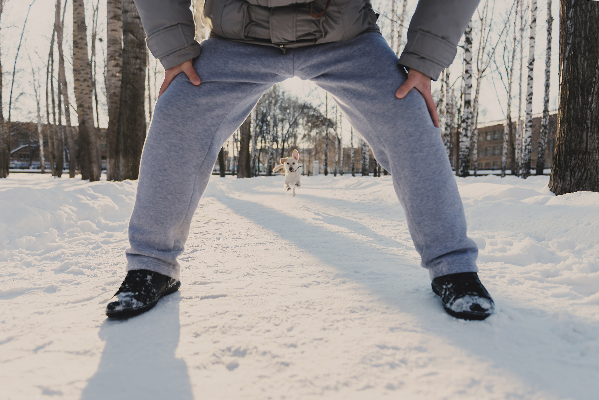 Саша, Карина и Тесси. Свадебный и семейный фотограф в Стерлитамаке, Салавате. Илья Антохин
