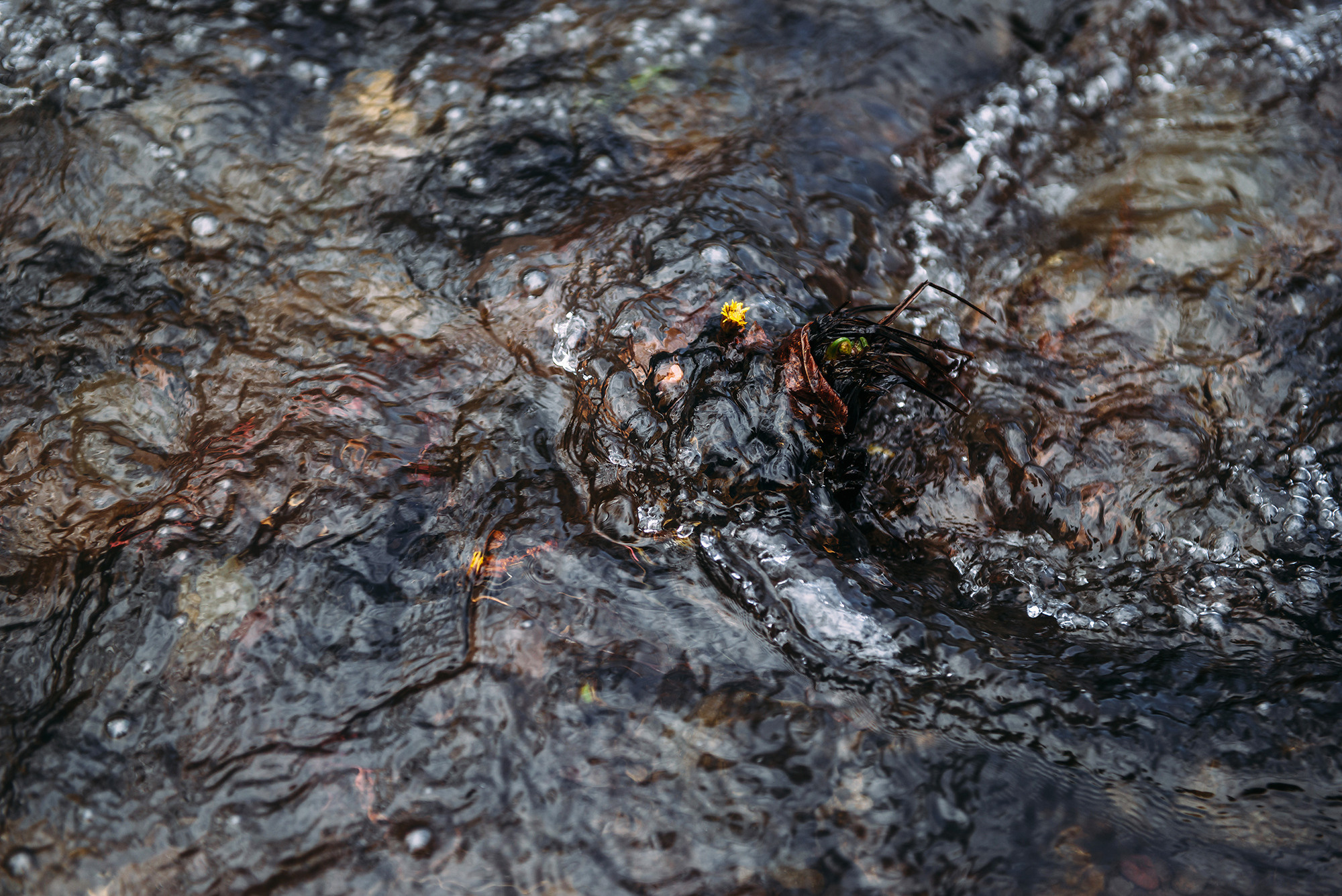 Юрий и Людмила. Свадебный и семейный фотограф в Стерлитамаке, Салавате. Илья Антохин