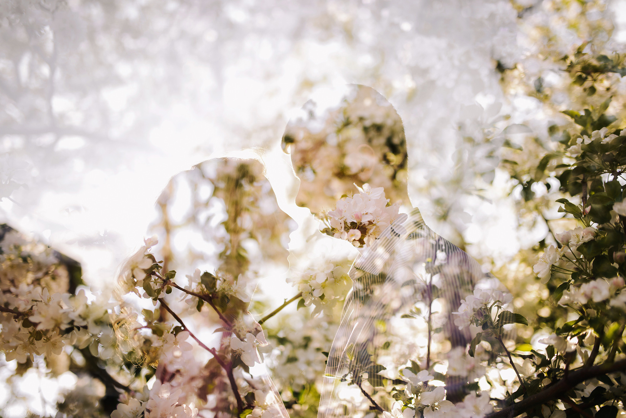 Александр и Анастасия. Свадебный и семейный фотограф в Стерлитамаке, Салавате. Илья Антохин