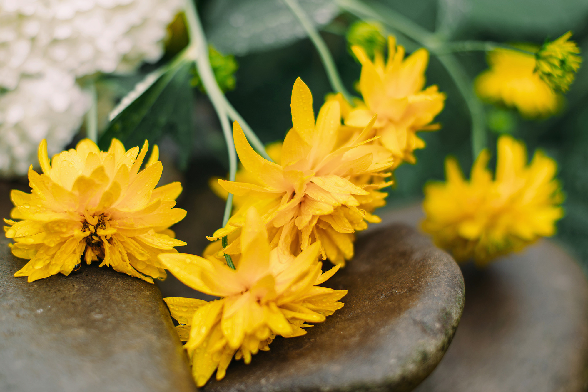 Илья и Яна. Свадебный и семейный фотограф в Стерлитамаке, Салавате. Илья Антохин