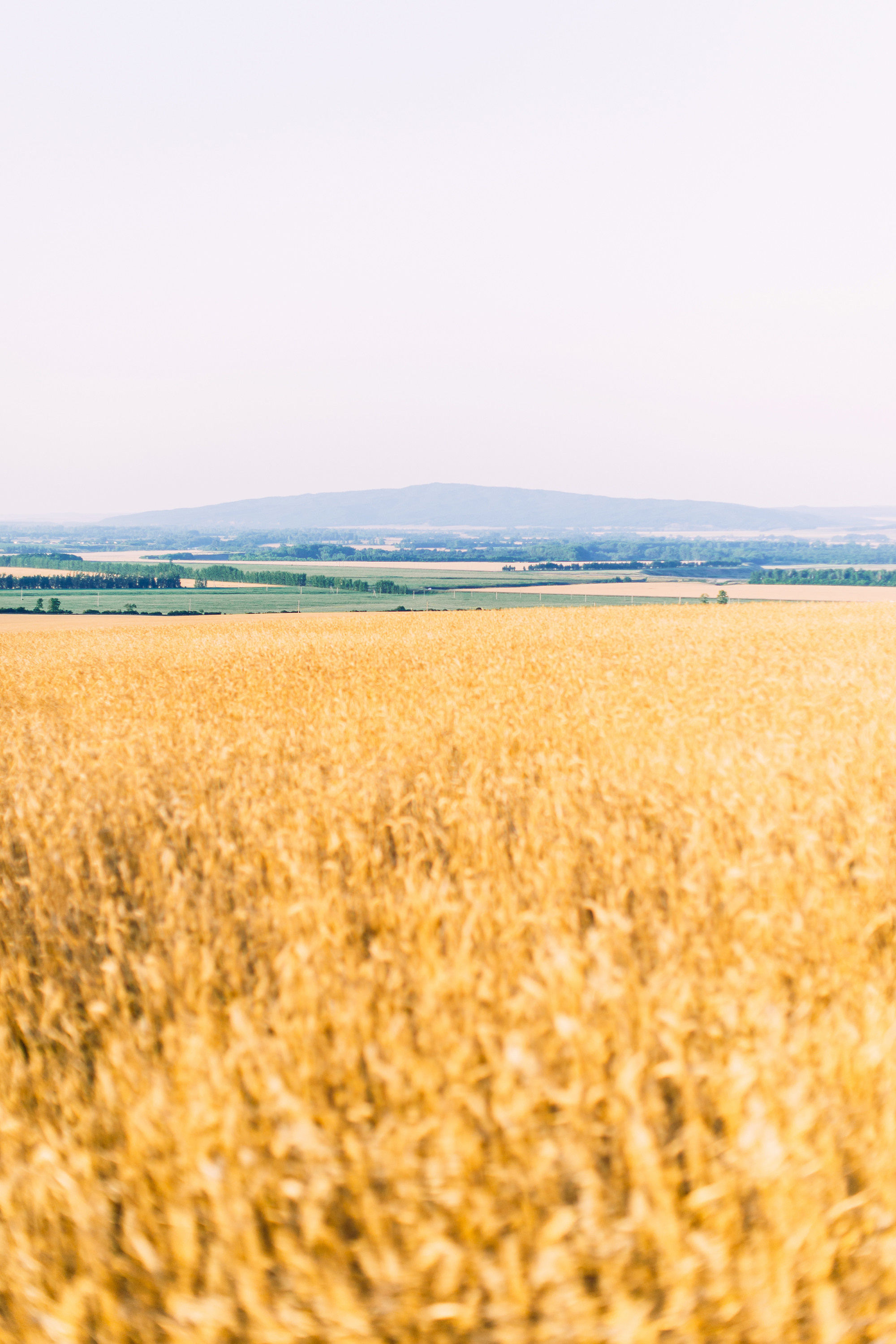 12 км к северо-западу от села Зирган. Свадебный и семейный фотограф в Стерлитамаке, Салавате. Илья Антохин