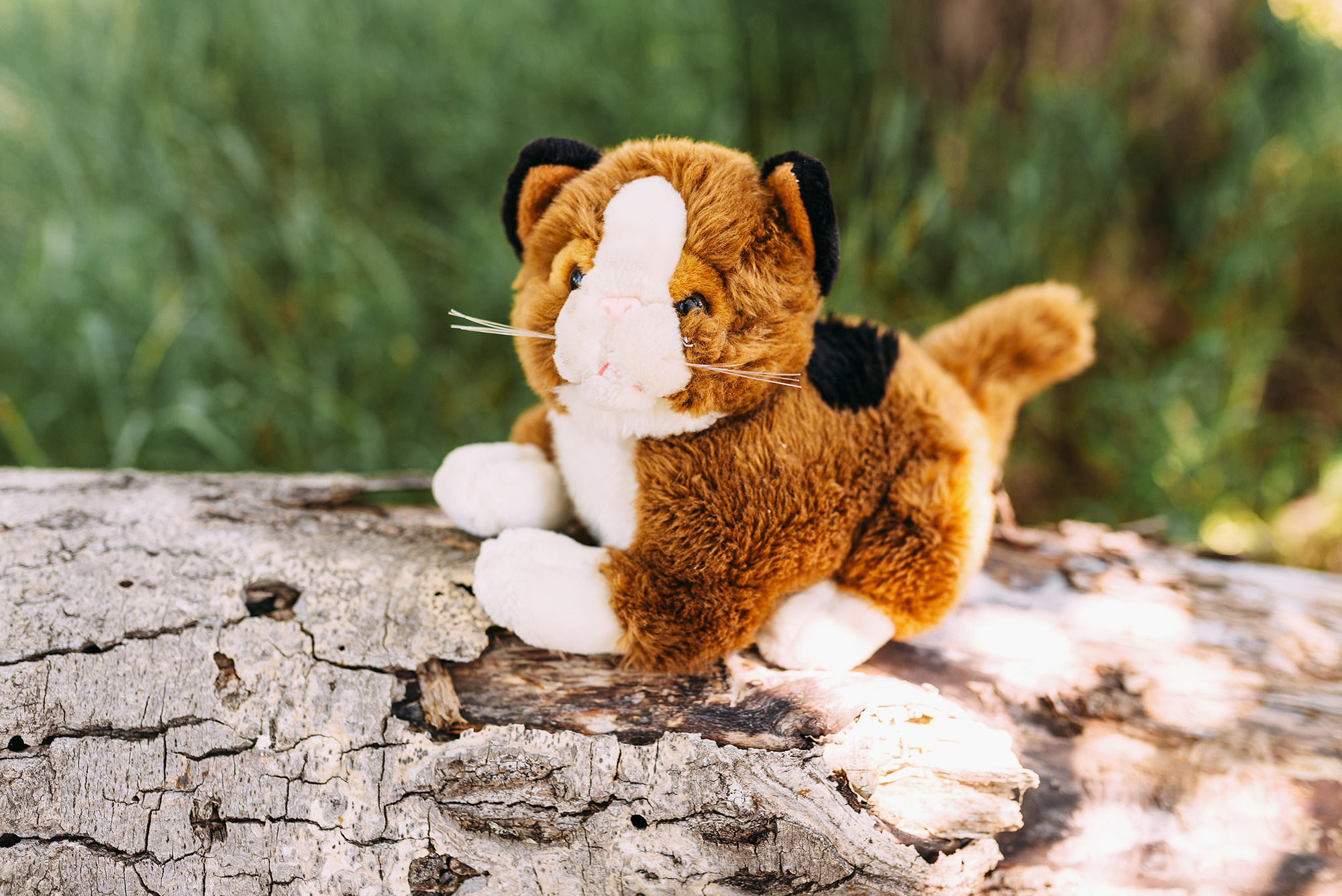 Евгений, Дарья и Ева. Свадебный и семейный фотограф в Стерлитамаке, Салавате. Илья Антохин