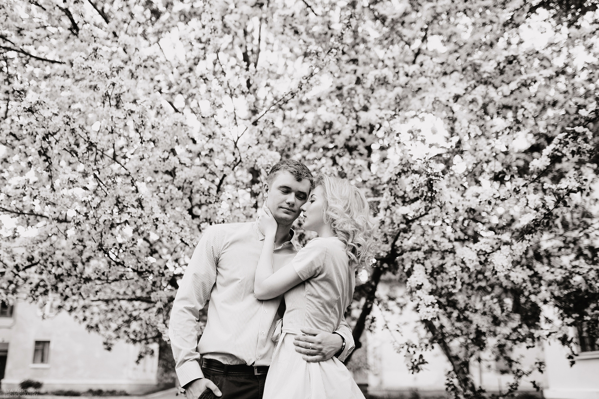 Александр и Анастасия. Свадебный и семейный фотограф в Стерлитамаке, Салавате. Илья Антохин