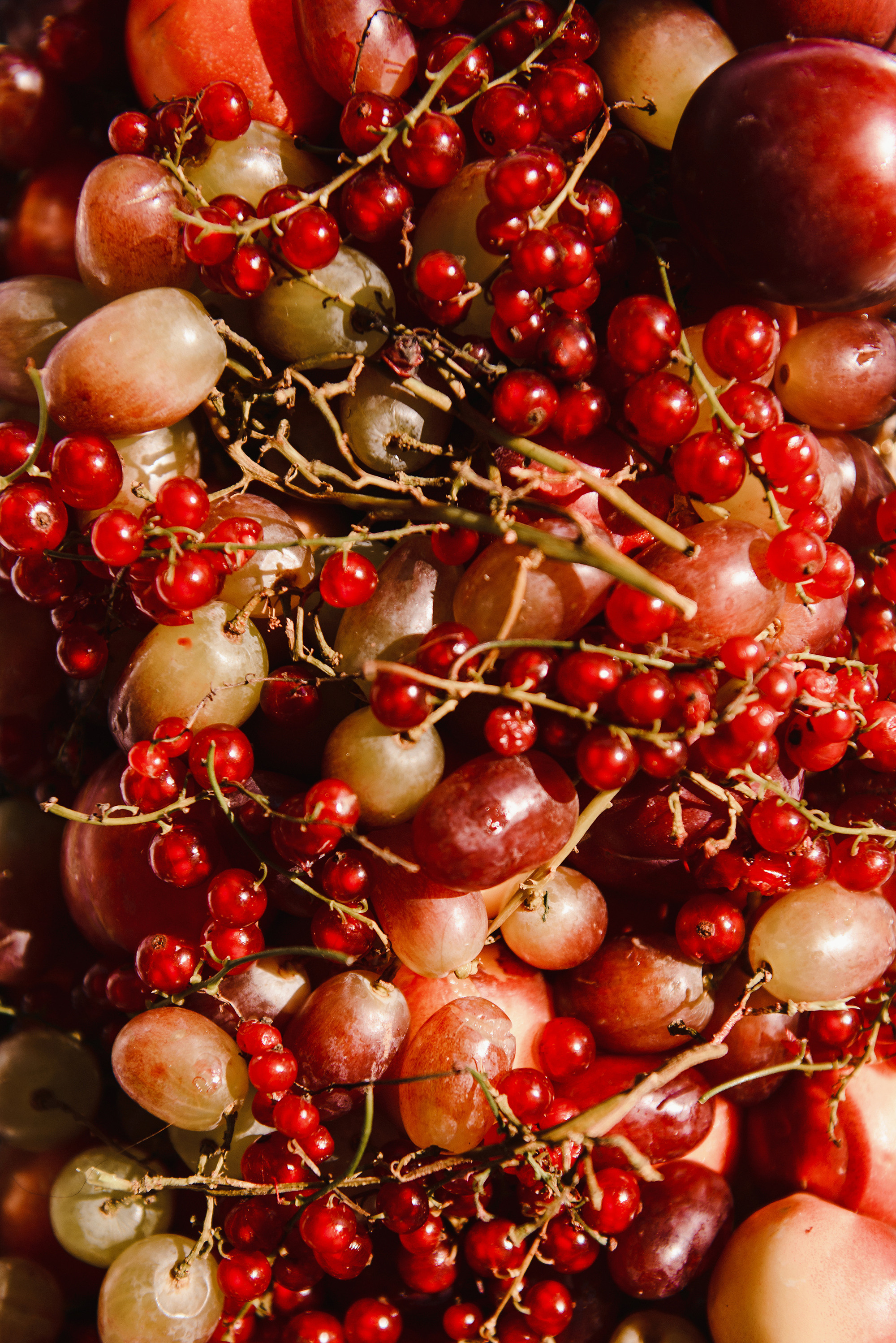 Илья и Виталия. Свадебный и семейный фотограф в Стерлитамаке, Салавате. Илья Антохин