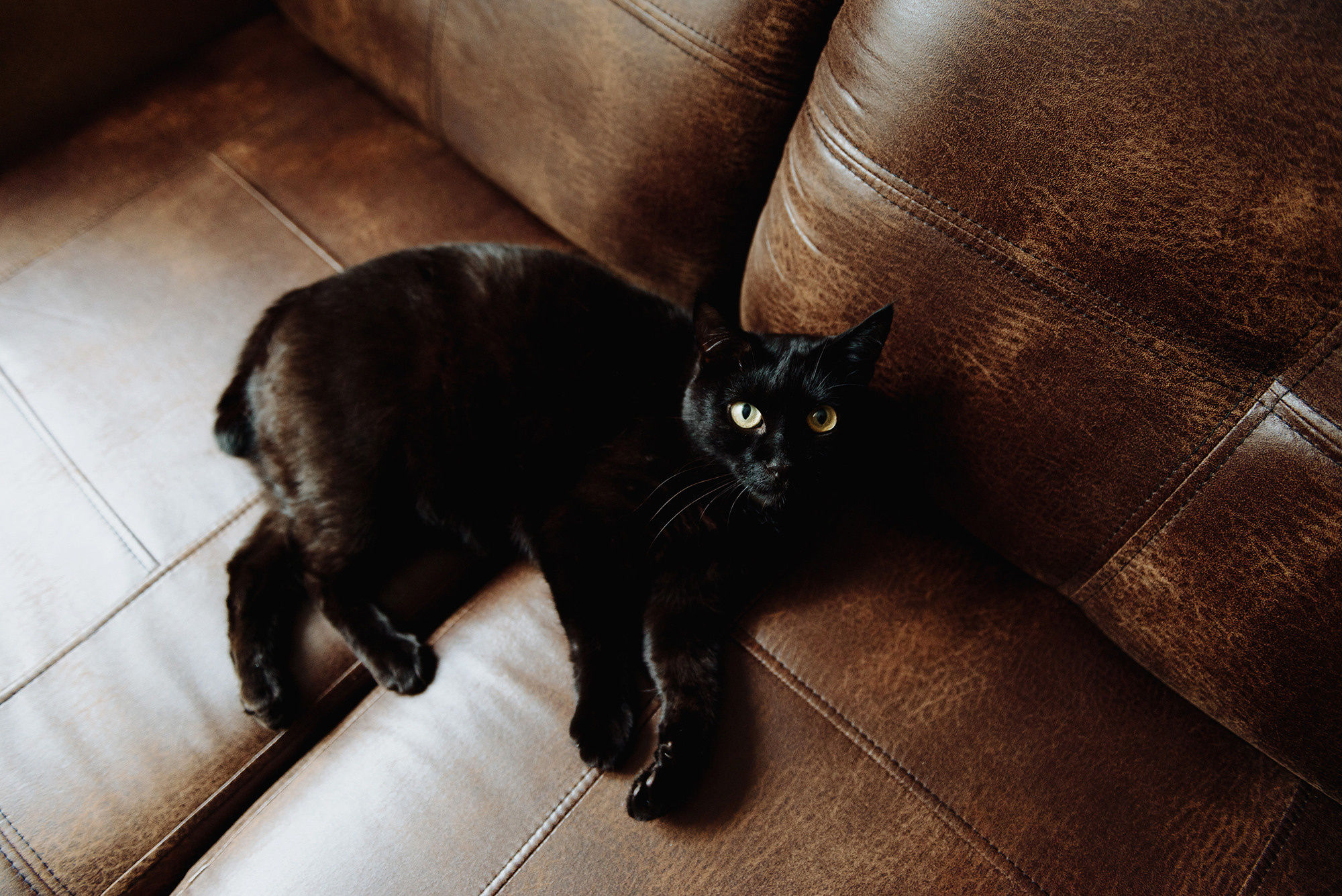 Артур и Евгения. Свадебный и семейный фотограф в Стерлитамаке, Салавате. Илья Антохин