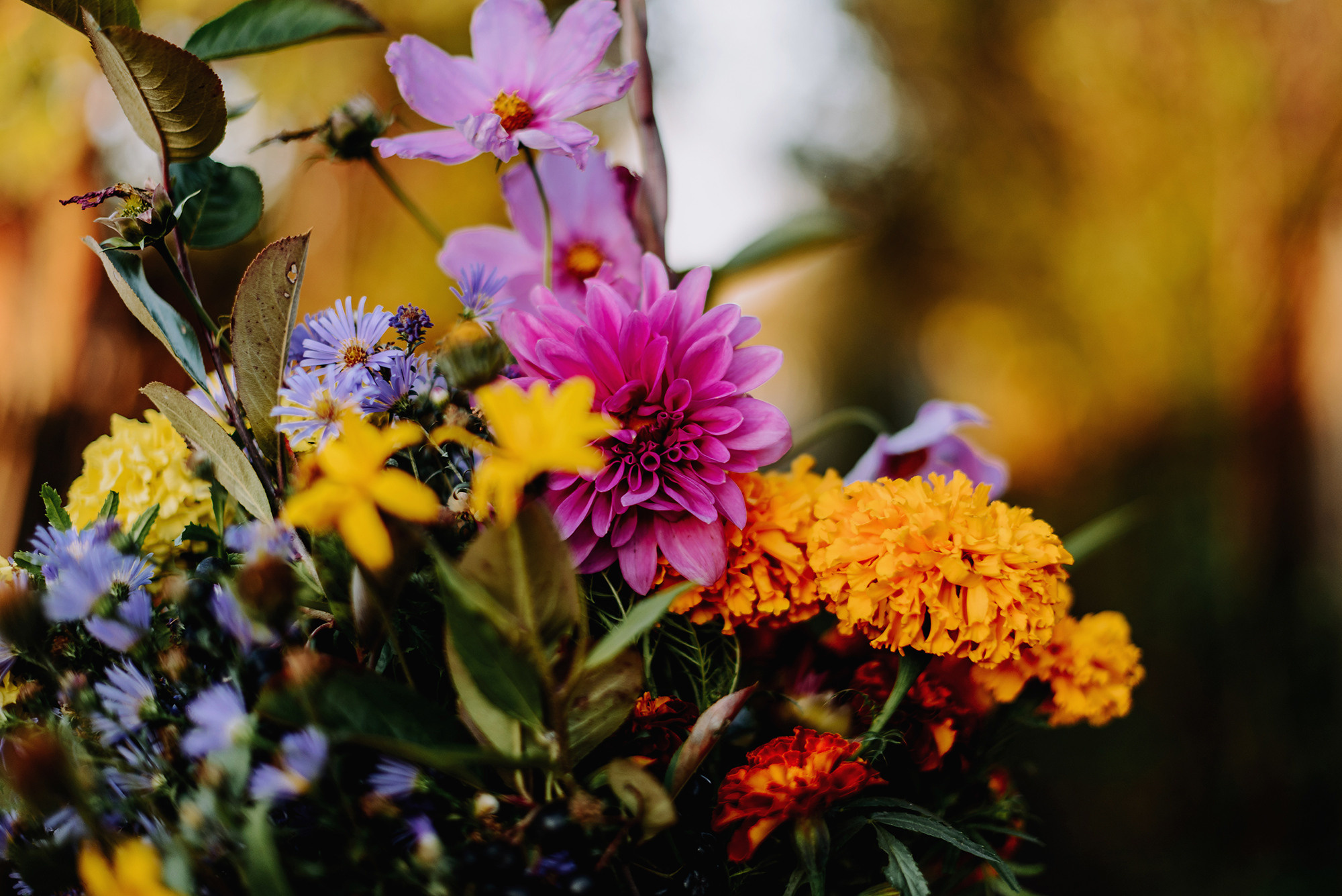 Сентябрьским вечером на огороде. Свадебный и семейный фотограф в Стерлитамаке, Салавате. Илья Антохин