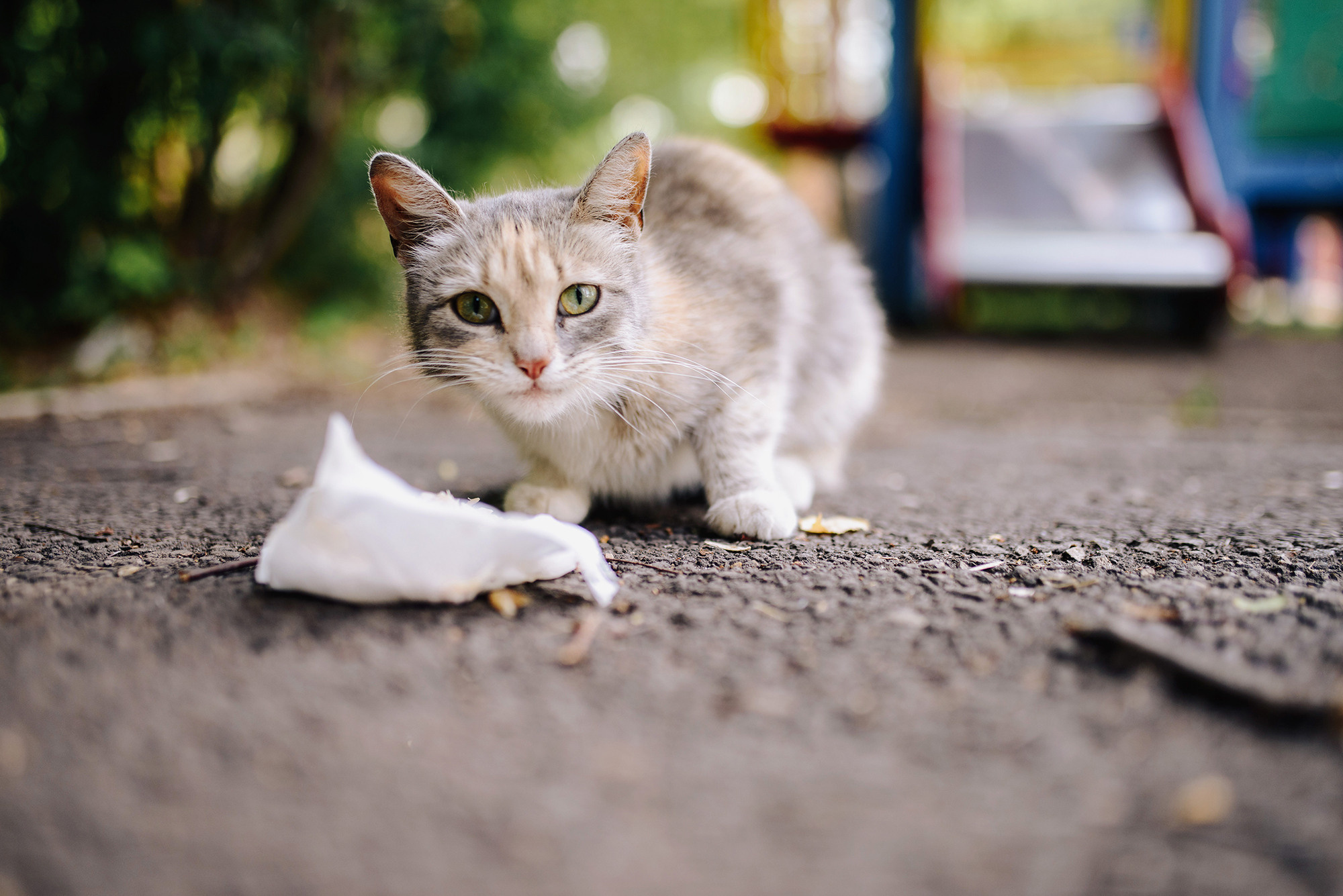 Альфред и Ирина. Свадебный и семейный фотограф в Стерлитамаке, Салавате. Илья Антохин