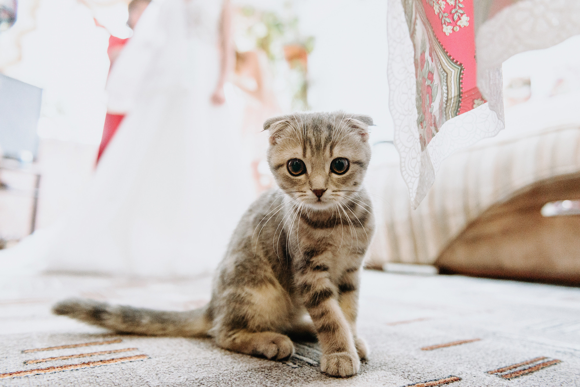 Александр и Ивилина. Свадебный и семейный фотограф в Стерлитамаке, Салавате. Илья Антохин