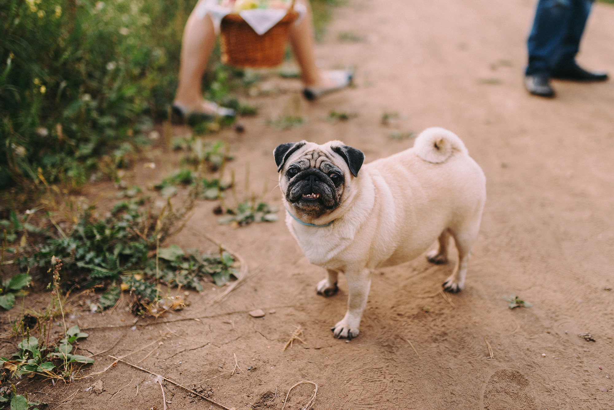 Максим, Евгения, Аня. Свадебный и семейный фотограф в Стерлитамаке, Салавате. Илья Антохин