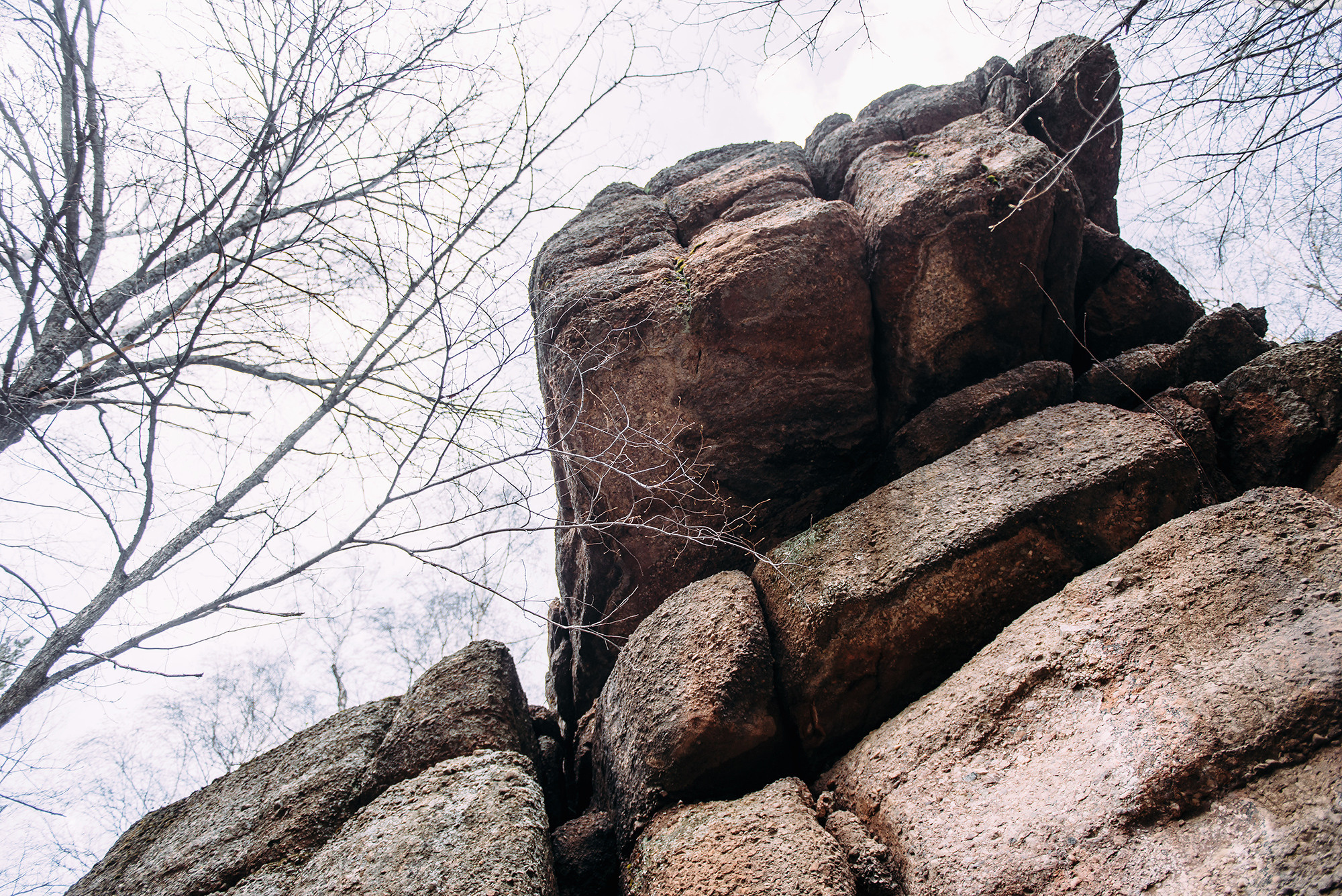 Юрий и Людмила. Свадебный и семейный фотограф в Стерлитамаке, Салавате. Илья Антохин