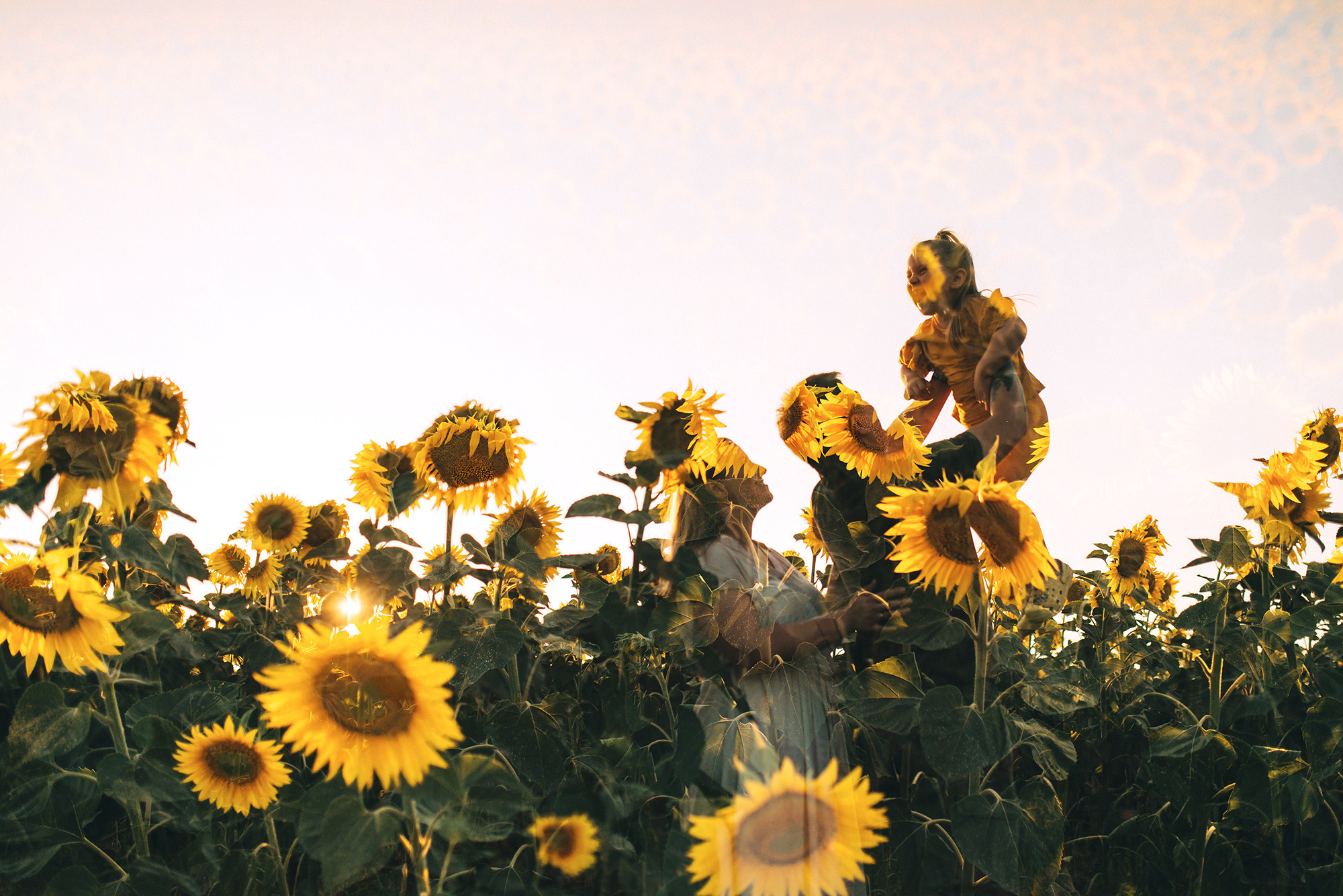Гриб, круассан и дубовый листочек. Свадебный и семейный фотограф в Стерлитамаке, Салавате. Илья Антохин