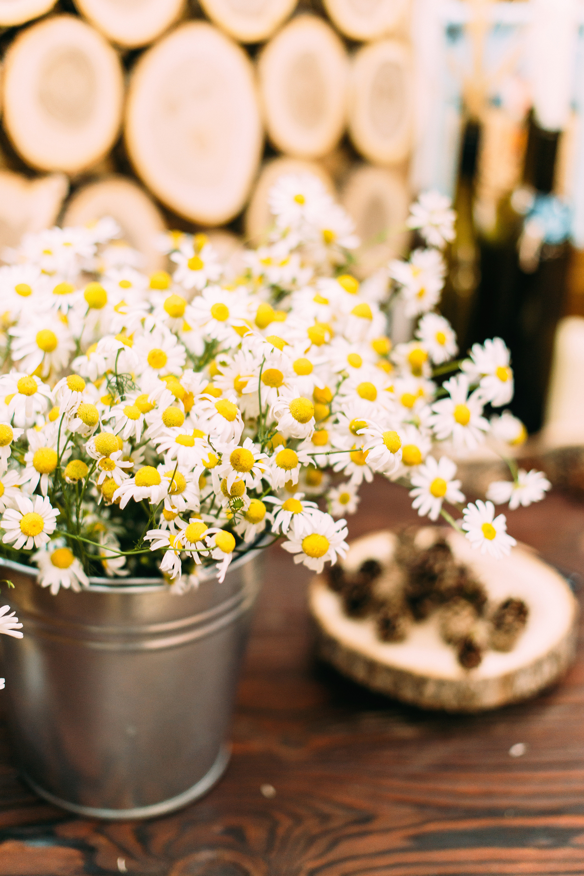 Антон и Оксана. Свадебный и семейный фотограф в Стерлитамаке, Салавате. Илья Антохин