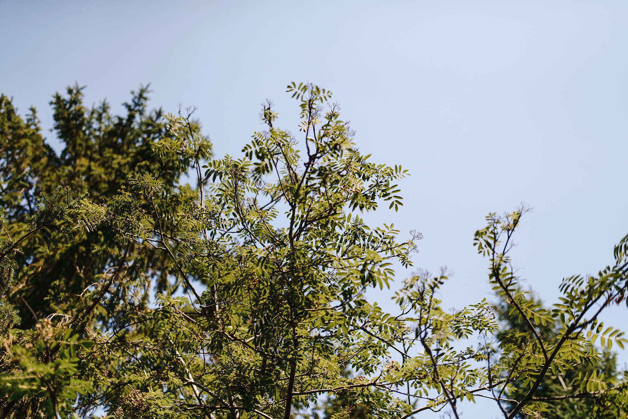 Илья и Виталия. Свадебный и семейный фотограф в Стерлитамаке, Салавате. Илья Антохин