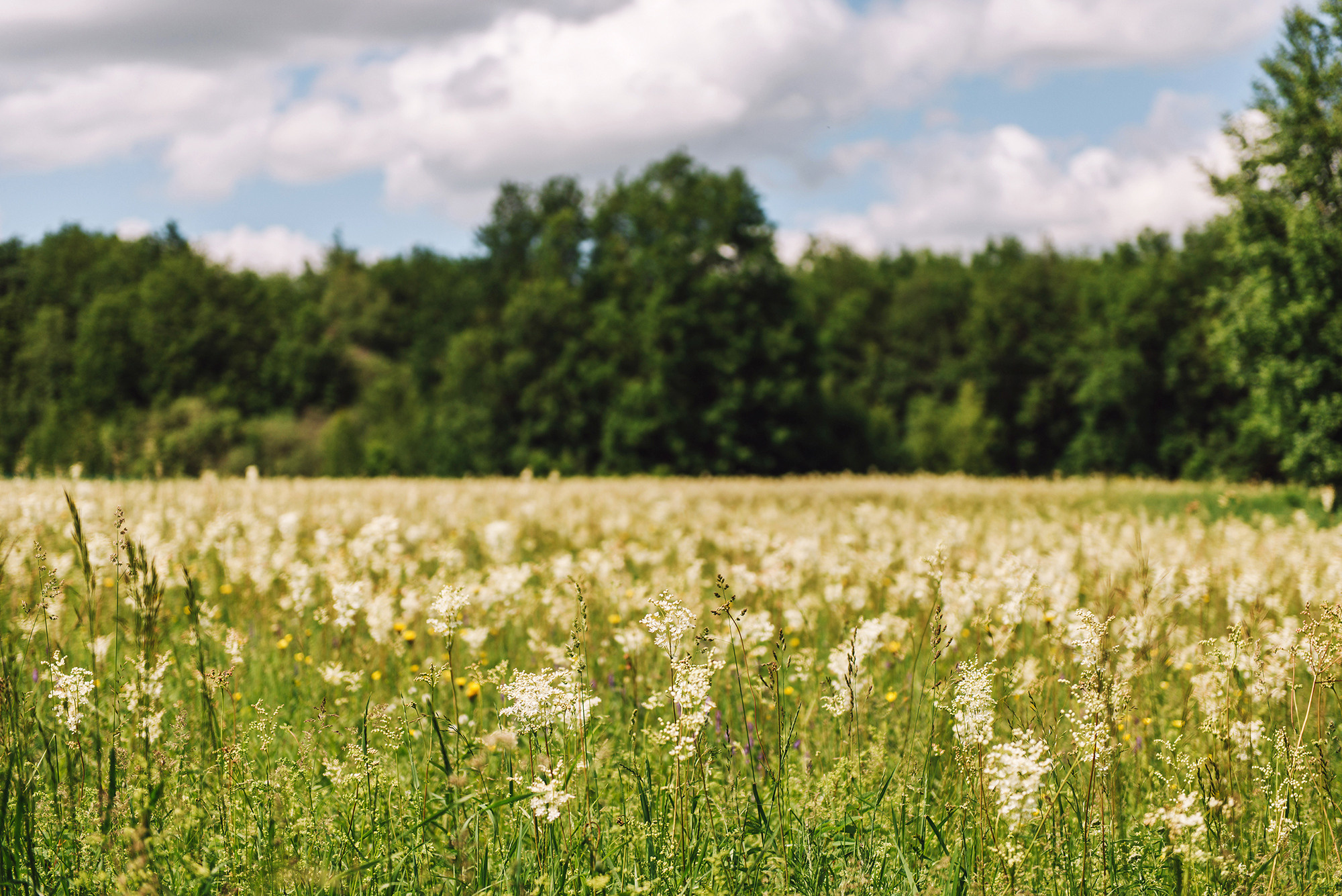 Валерий и Елена. Свадебный и семейный фотограф в Стерлитамаке, Салавате. Илья Антохин
