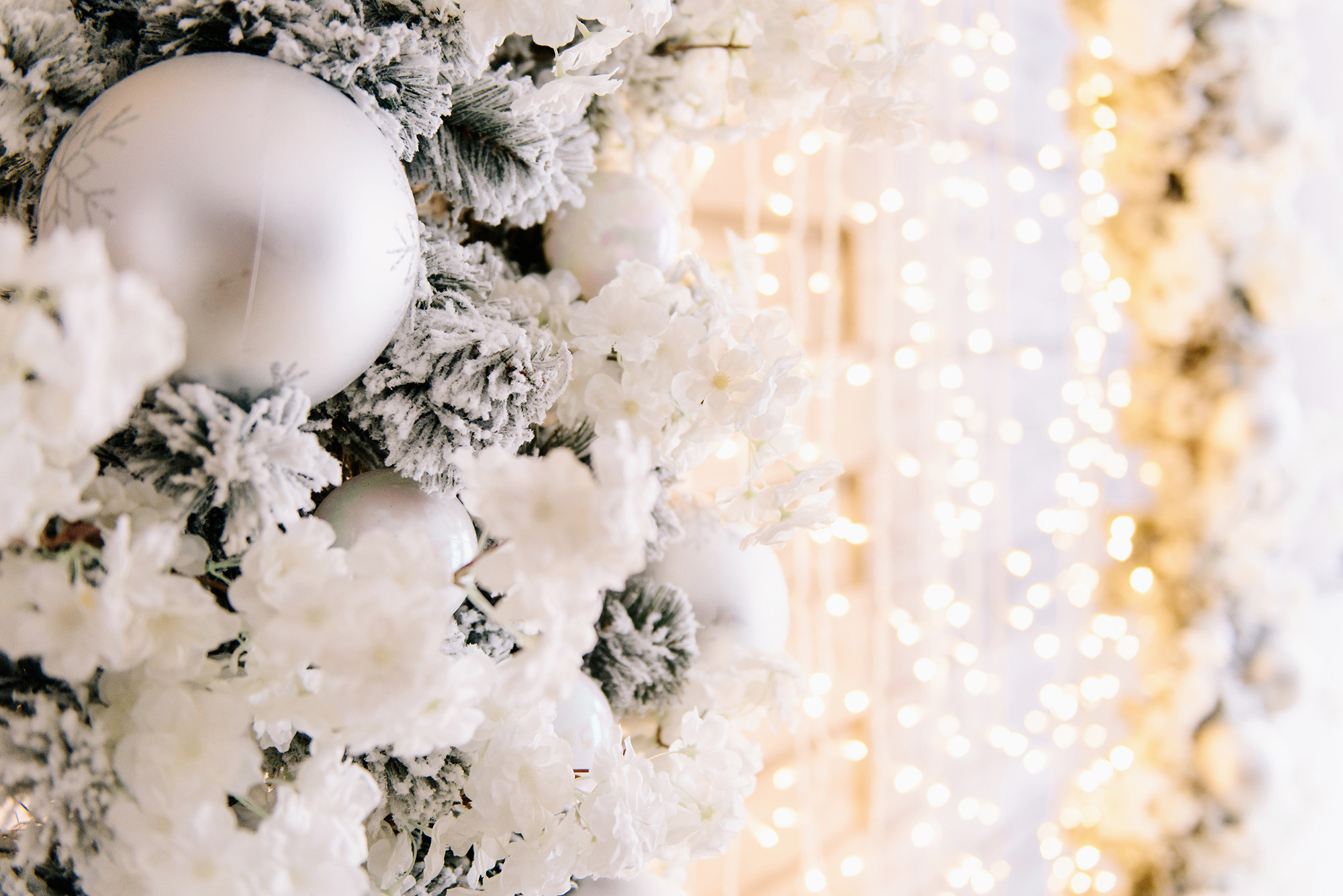 Альберт и Анастасия. Свадебный и семейный фотограф в Стерлитамаке, Салавате. Илья Антохин