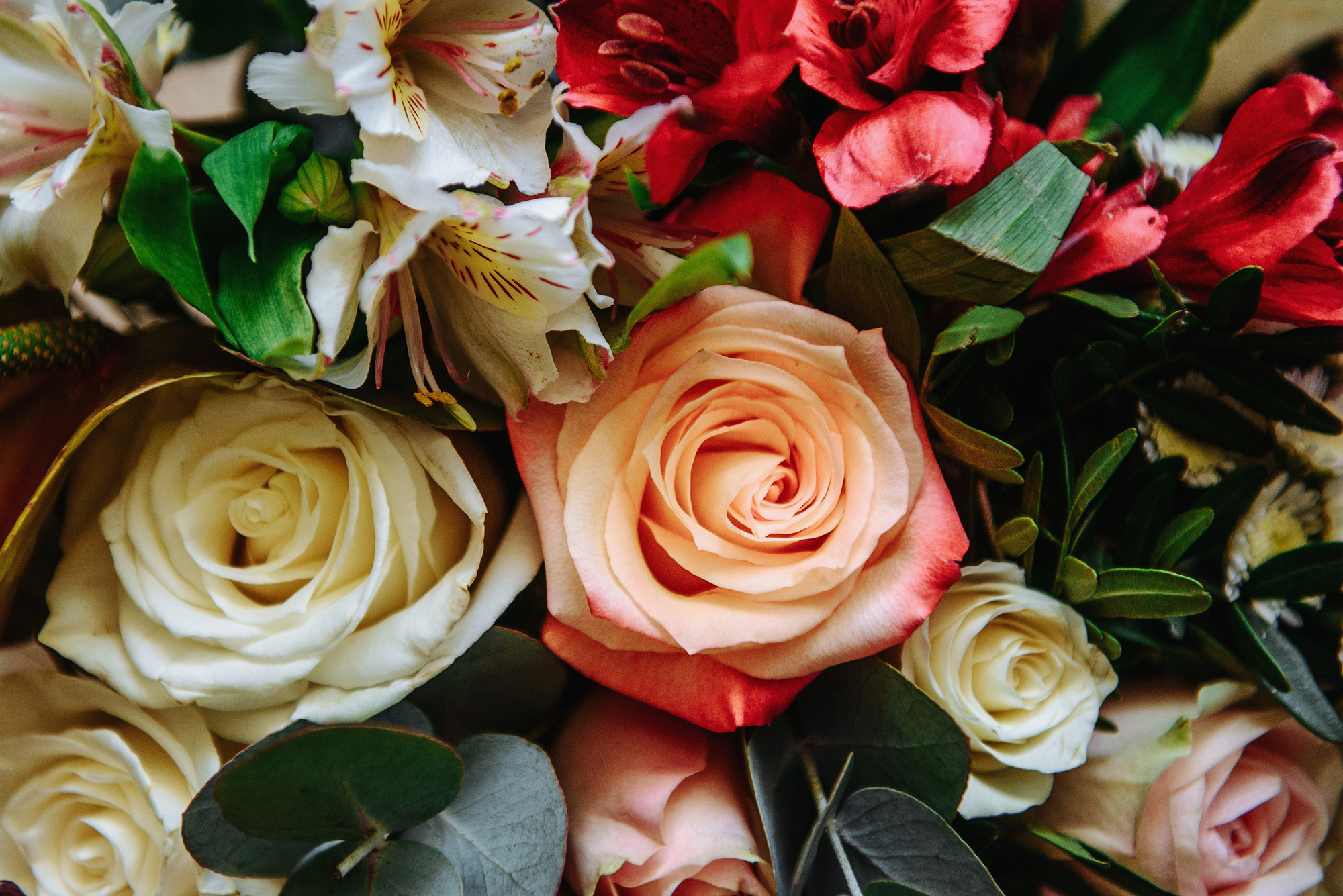 Тимур и Анна. Свадебный и семейный фотограф в Стерлитамаке, Салавате. Илья Антохин