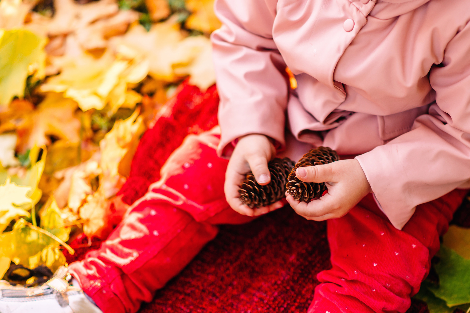 Елисей и Ева в осеннем парке. Свадебный и семейный фотограф в Стерлитамаке, Салавате. Илья Антохин