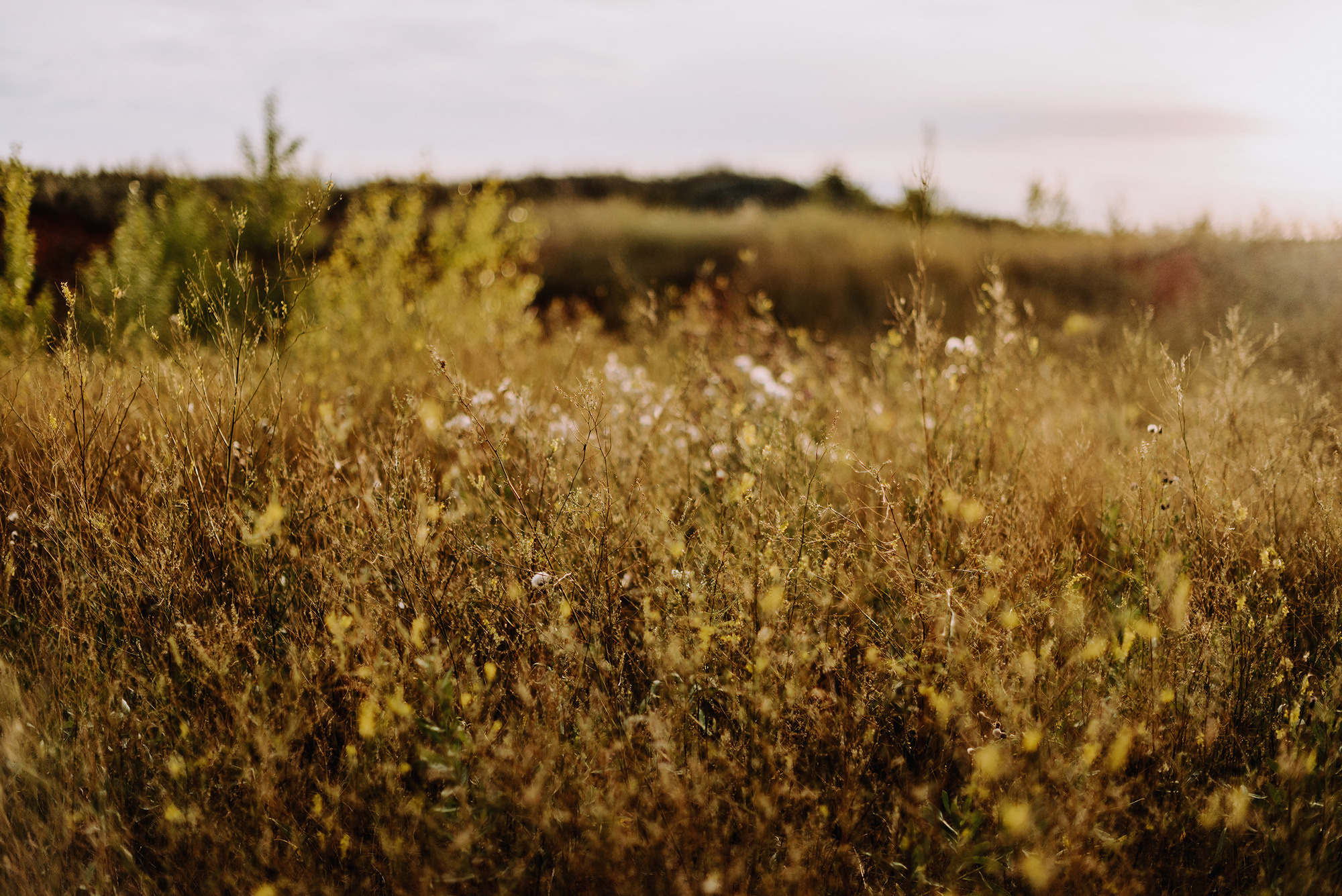 Андрей и Анастасия. Свадебный и семейный фотограф в Стерлитамаке, Салавате. Илья Антохин