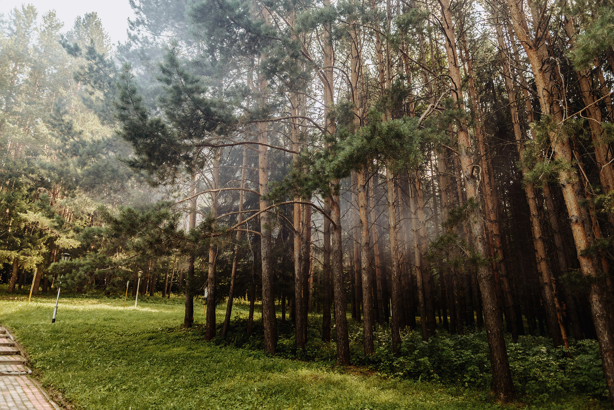 Разиф и Снежана. Свадебный и семейный фотограф в Стерлитамаке, Салавате. Илья Антохин