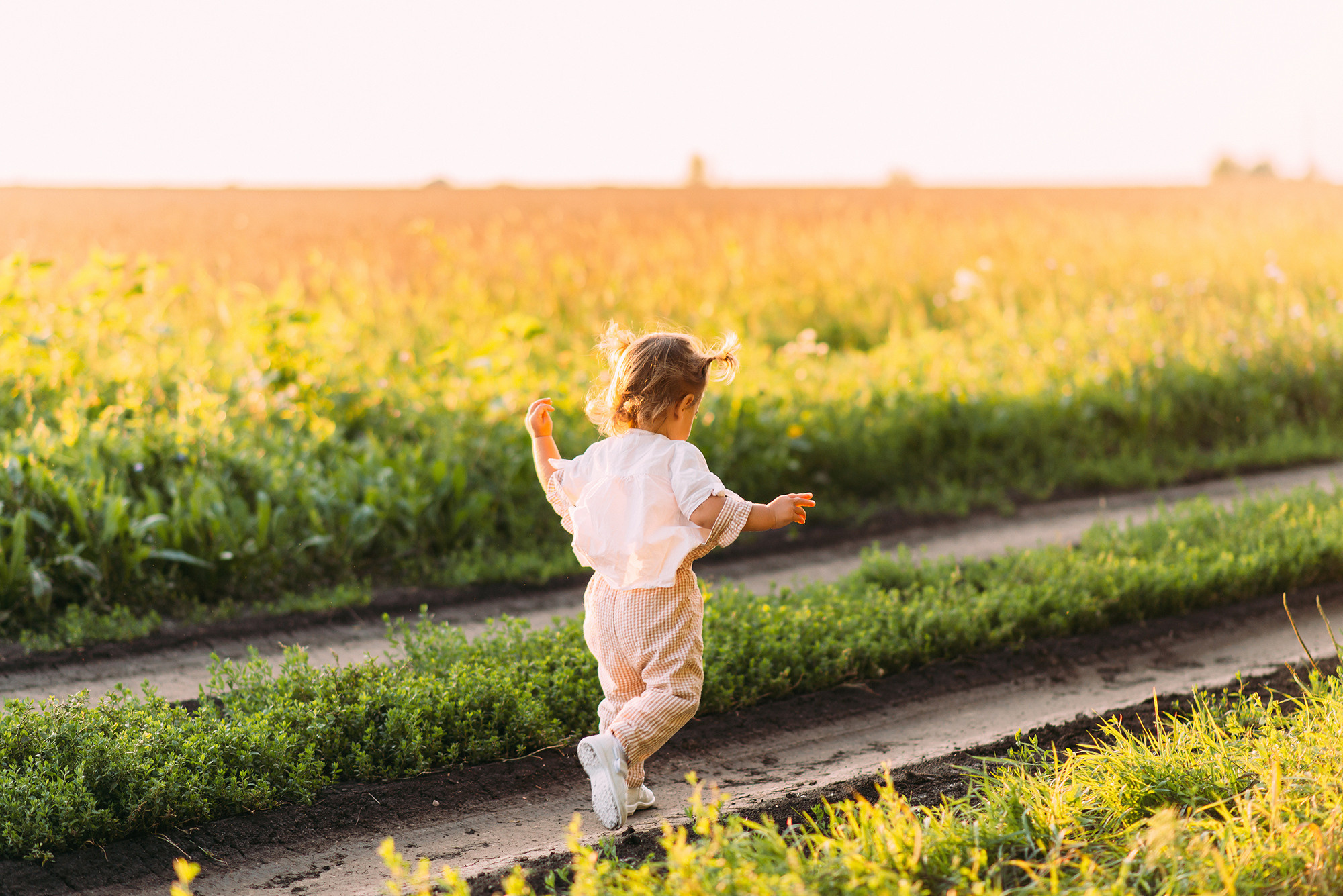 В поисках «пшеничного волка». Свадебный и семейный фотограф в Стерлитамаке, Салавате. Илья Антохин