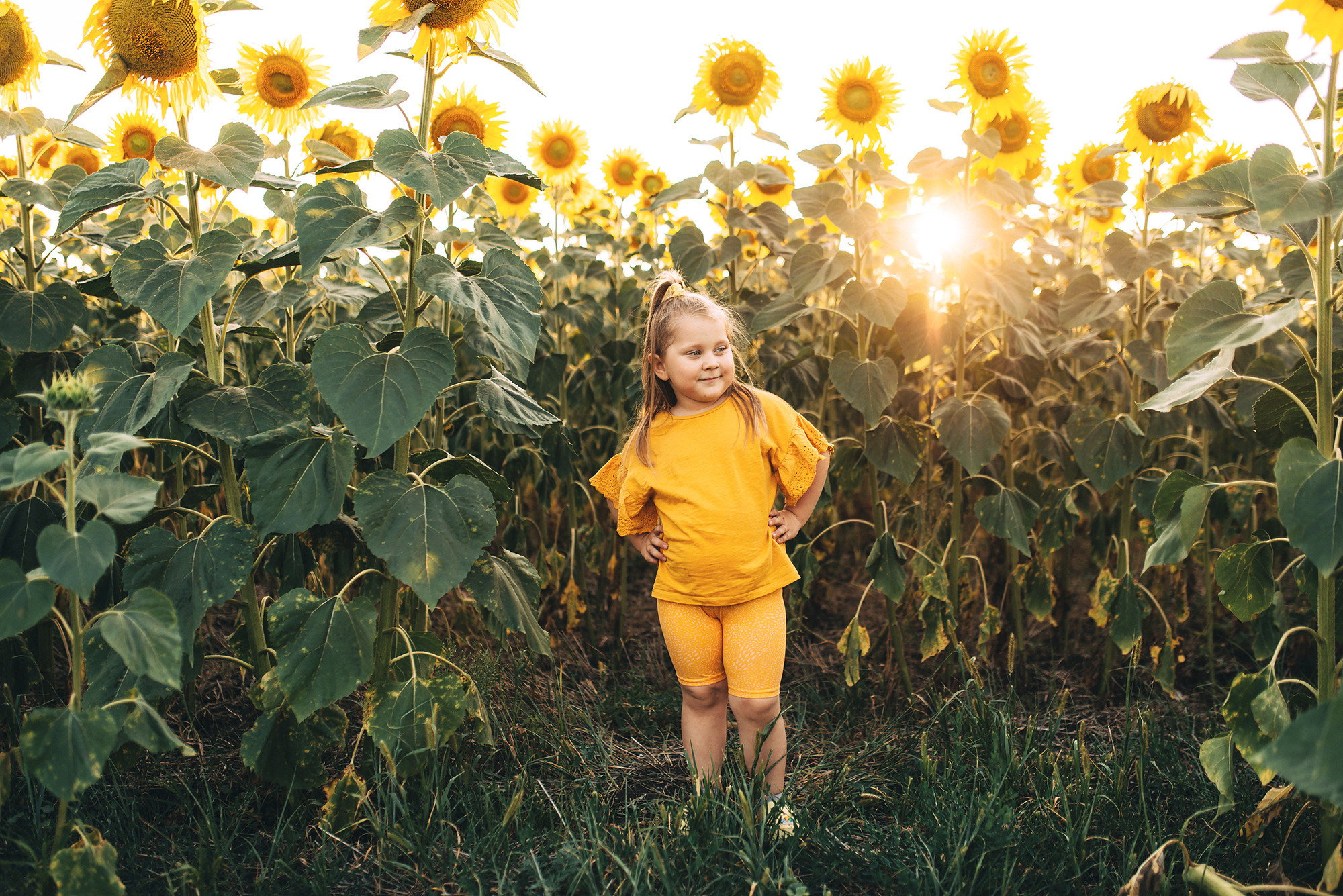 Гриб, круассан и дубовый листочек. Свадебный и семейный фотограф в Стерлитамаке, Салавате. Илья Антохин