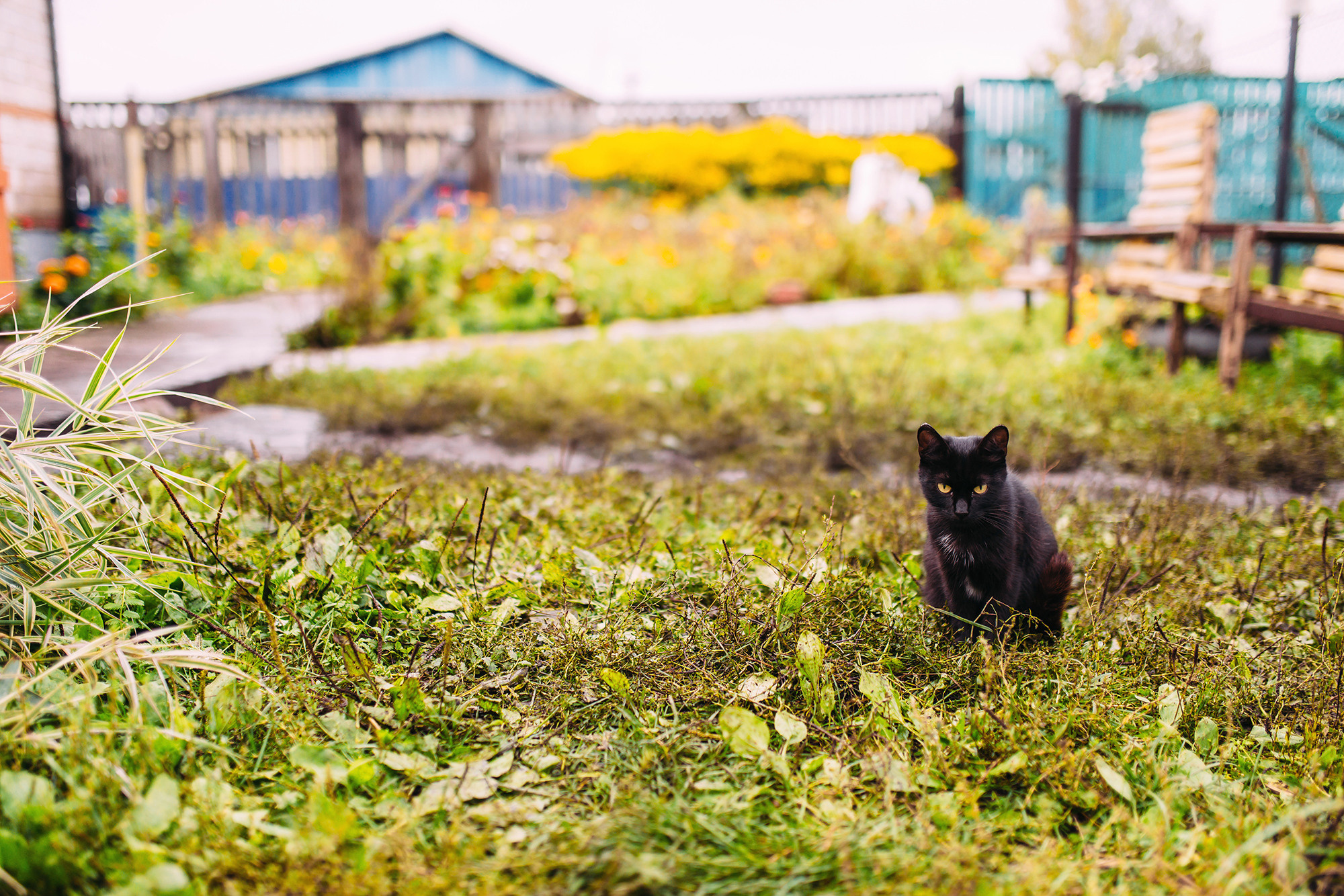 Иван и Виктория. Свадебный и семейный фотограф в Стерлитамаке, Салавате. Илья Антохин