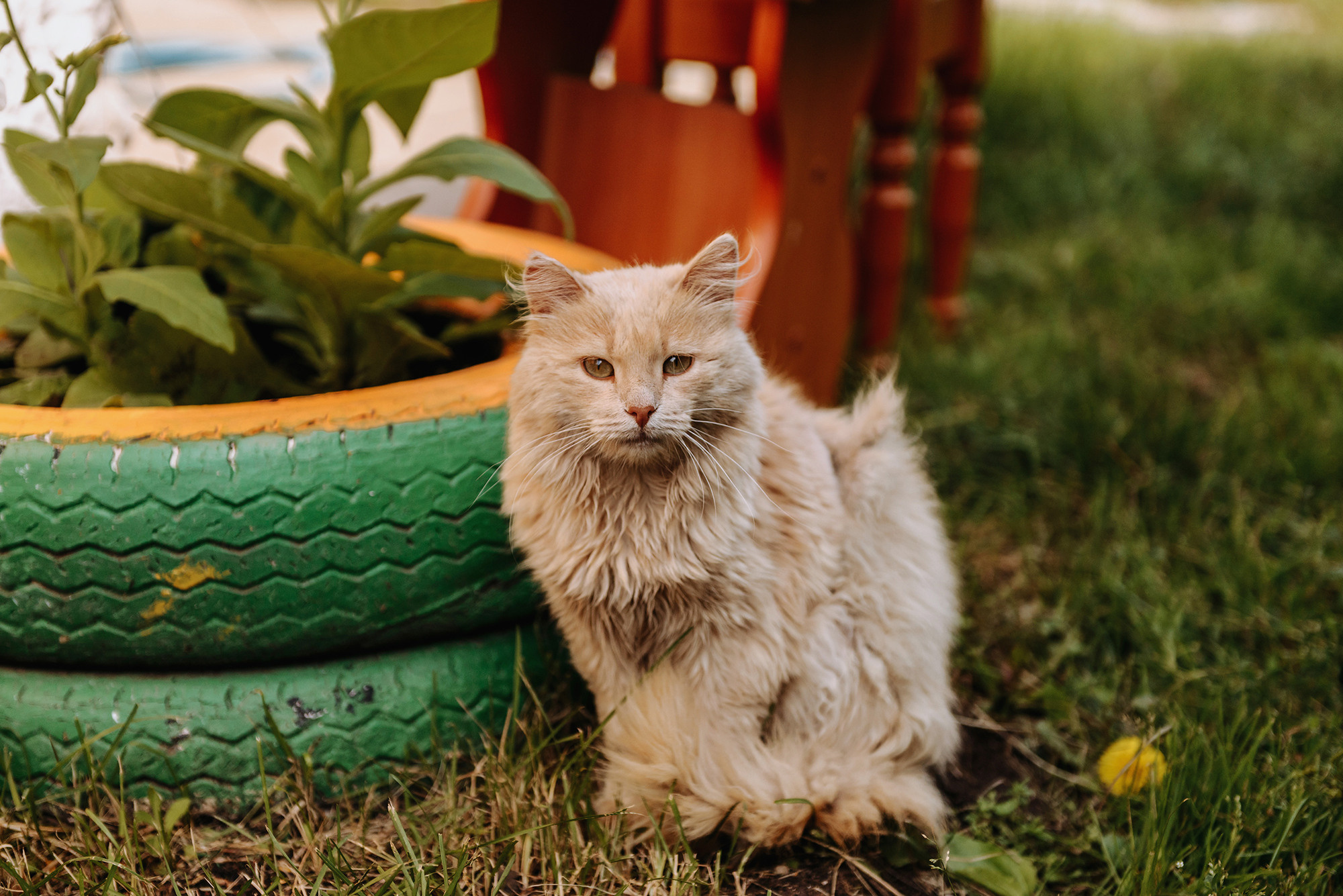 Мурат и Лейсан. Свадебный и семейный фотограф в Стерлитамаке, Салавате. Илья Антохин