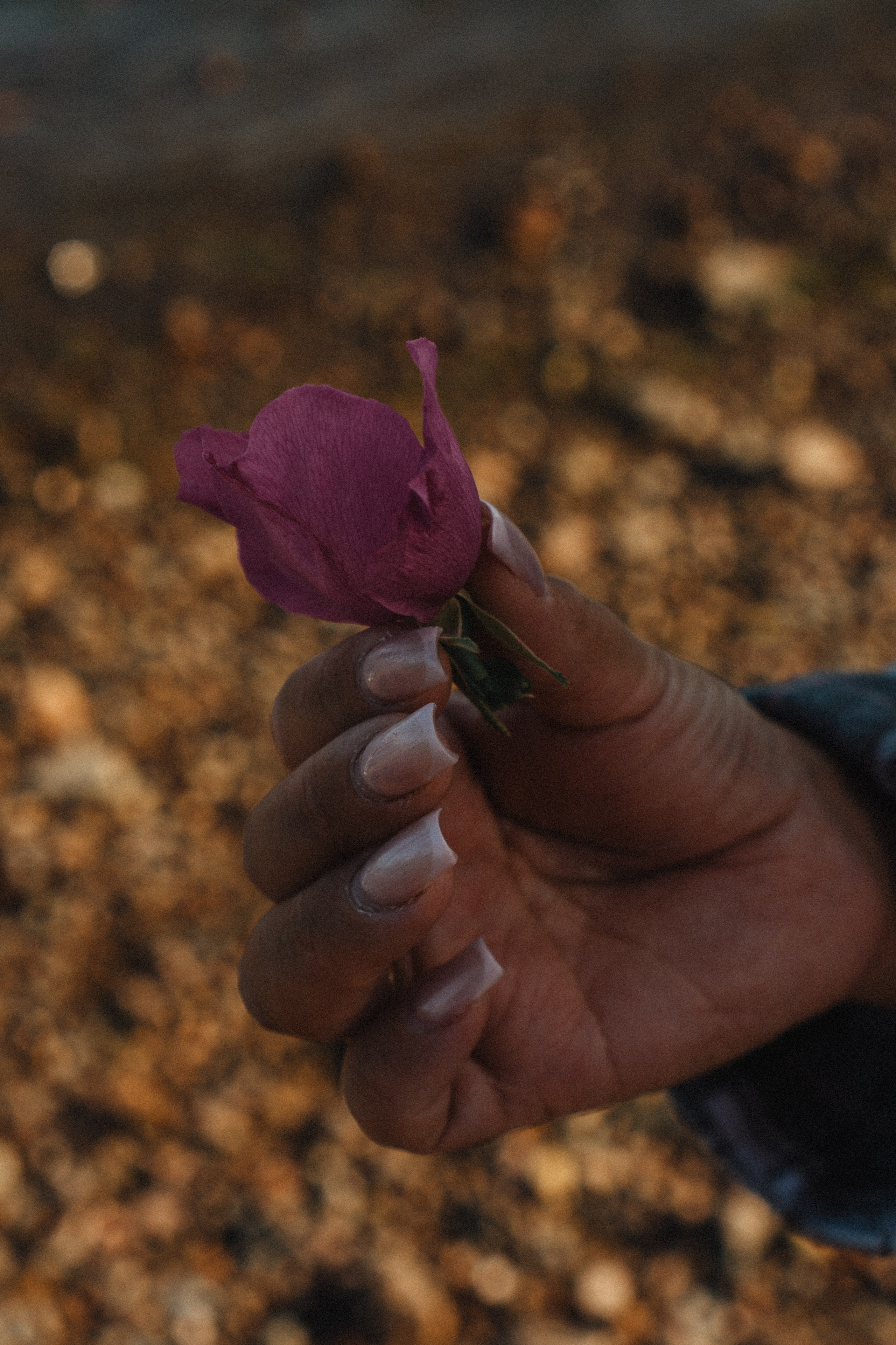 МАМА И ДОЧКА НА ФИНСКОМ ЗАЛИВЕ. Профессиональный фотограф, Санкт-Петербург — Виктория Богомолова