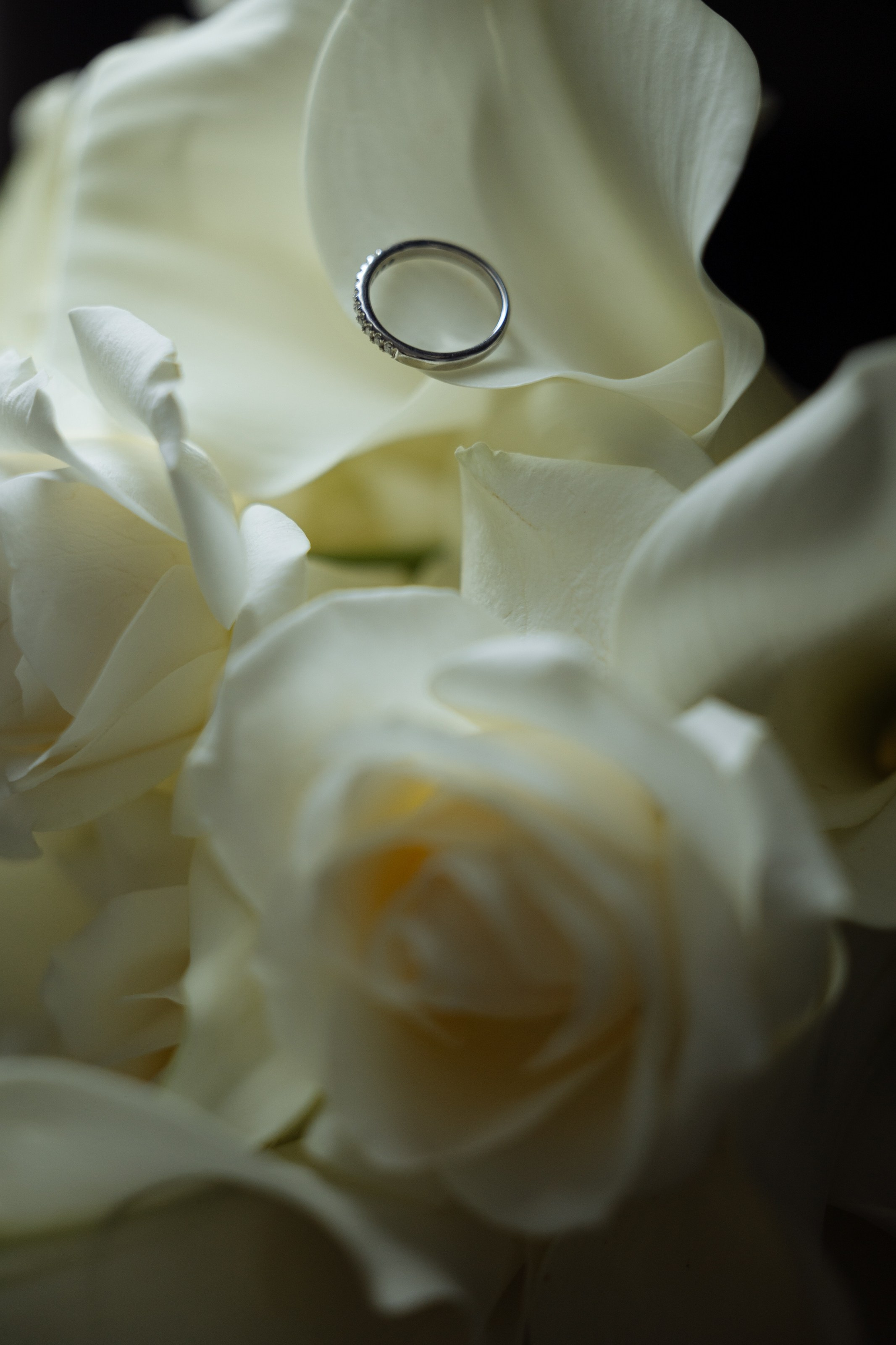 Павел и Яна. Свадебный фотограф в Ростове — на — Дону Александра Пивоварова