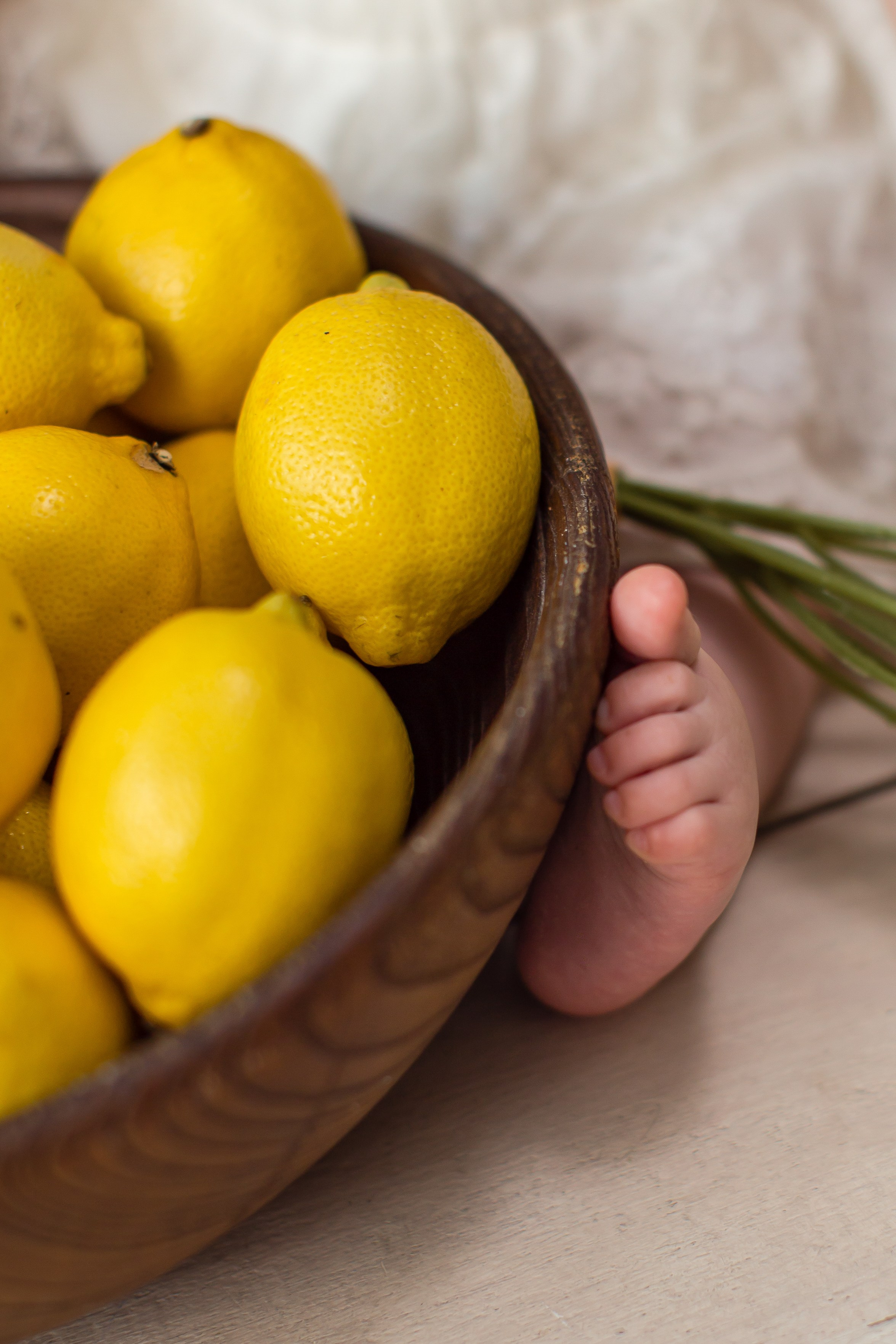 Фотодень «Лимончики» от 6 месяцев до 4 лет» 5.07.26 запись идёт. Детский семейный фотограф на первый годик город Новосибирск Дымова Светлана пакеты всё включено 1-3 года