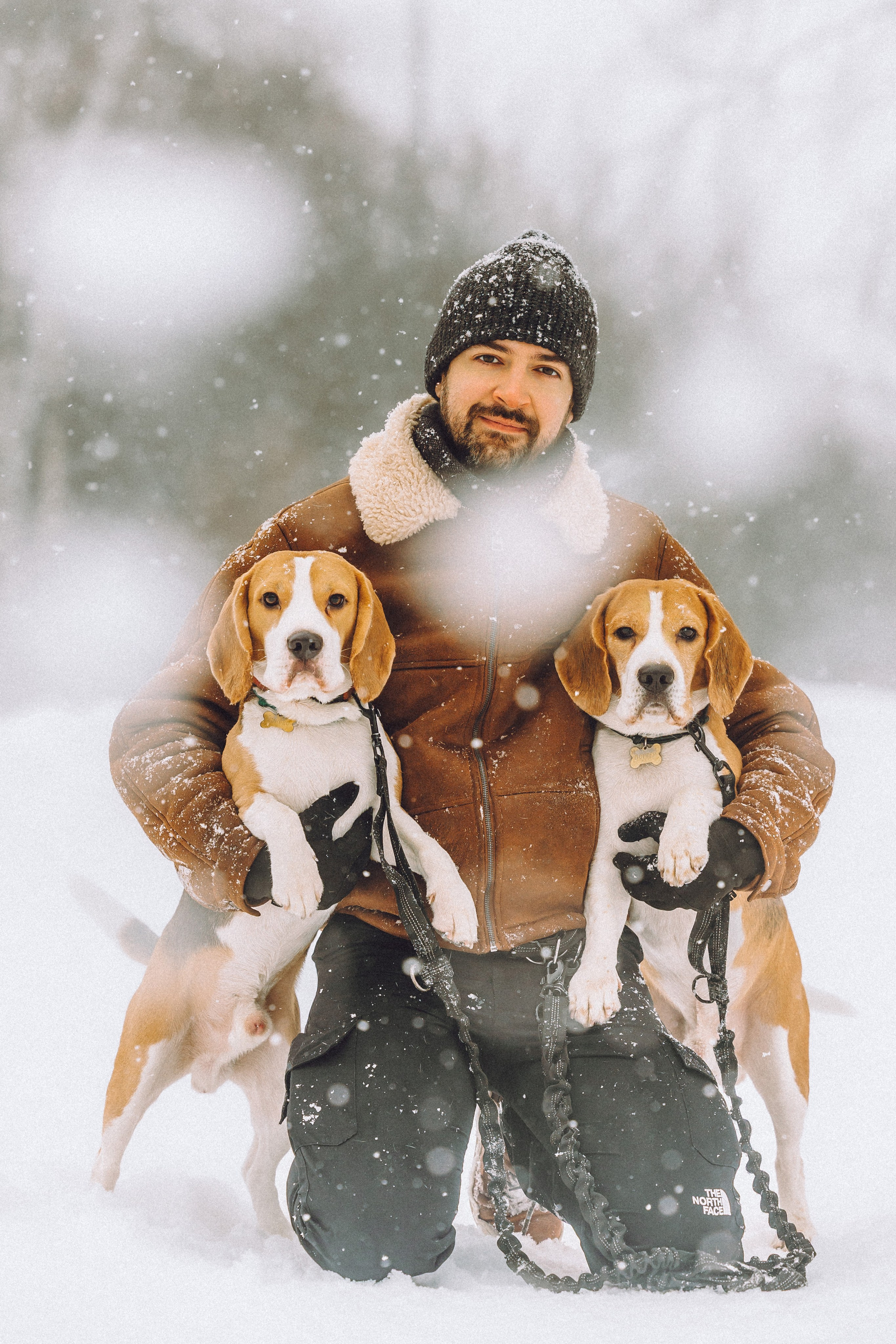 Роман, Портер и Коррес