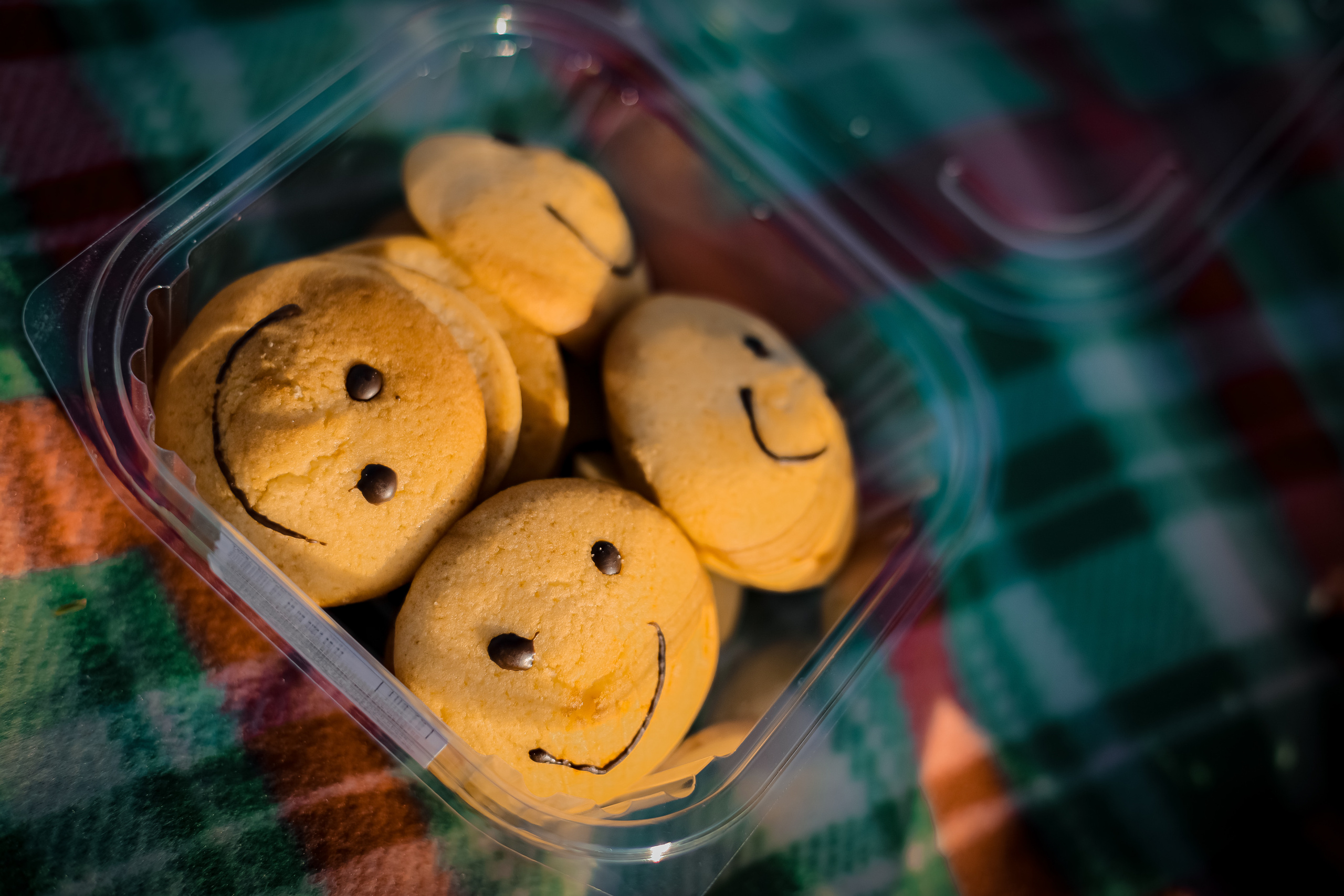 Оля и Артем в сосновом лесу. Фотограф г. Хабаровск. Семейные и индивидуальные съёмки