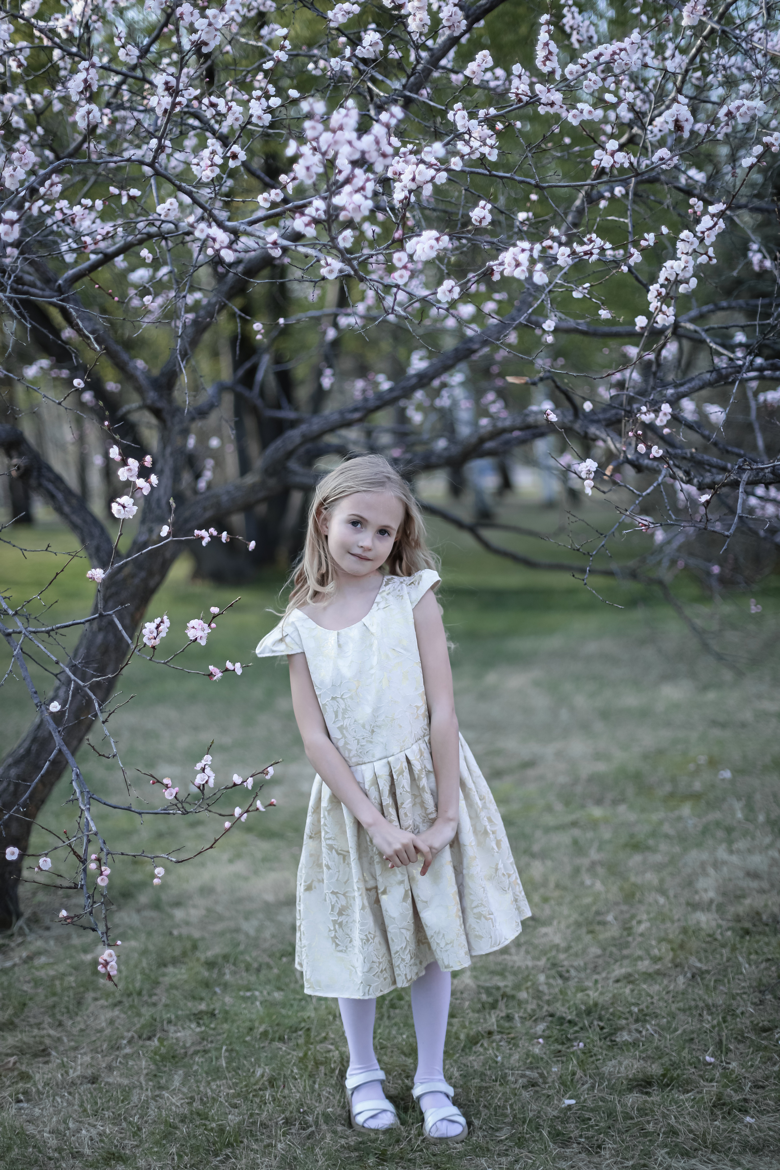 Май 2023. Фотограф г. Хабаровск. Семейные и индивидуальные съёмки