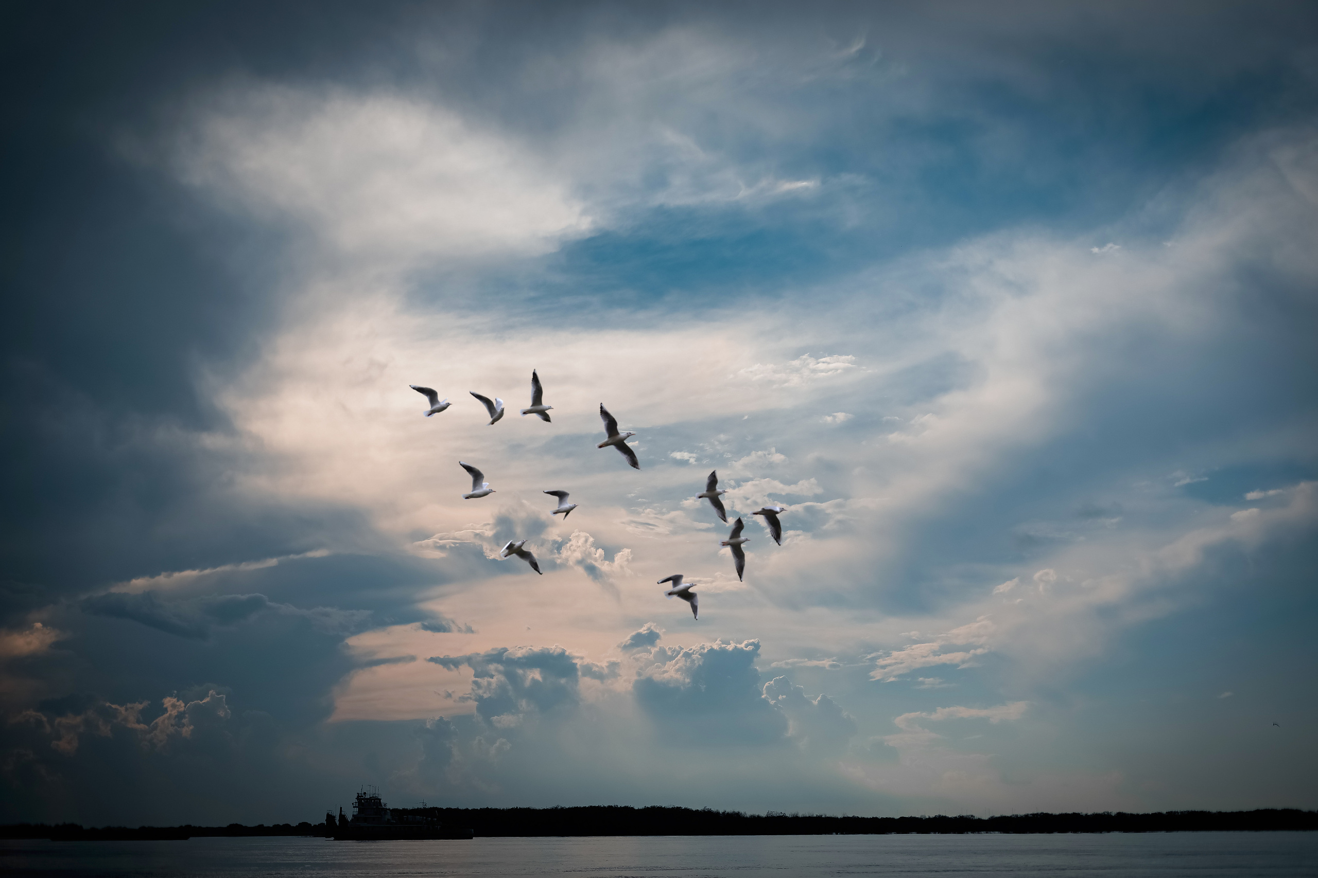 На Амуре. Фотограф г. Хабаровск. Семейные и индивидуальные съёмки