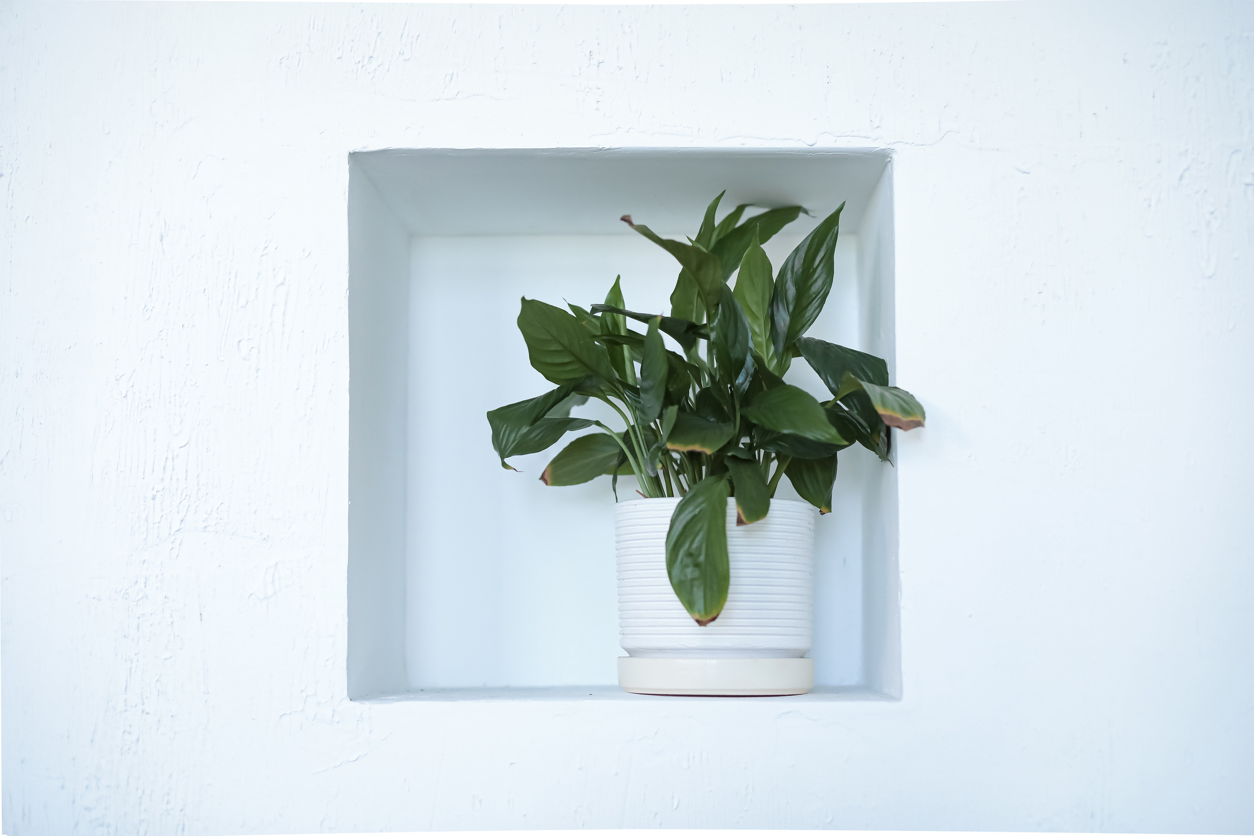 Женский психолог. Фотограф г. Хабаровск. Семейные и индивидуальные съёмки